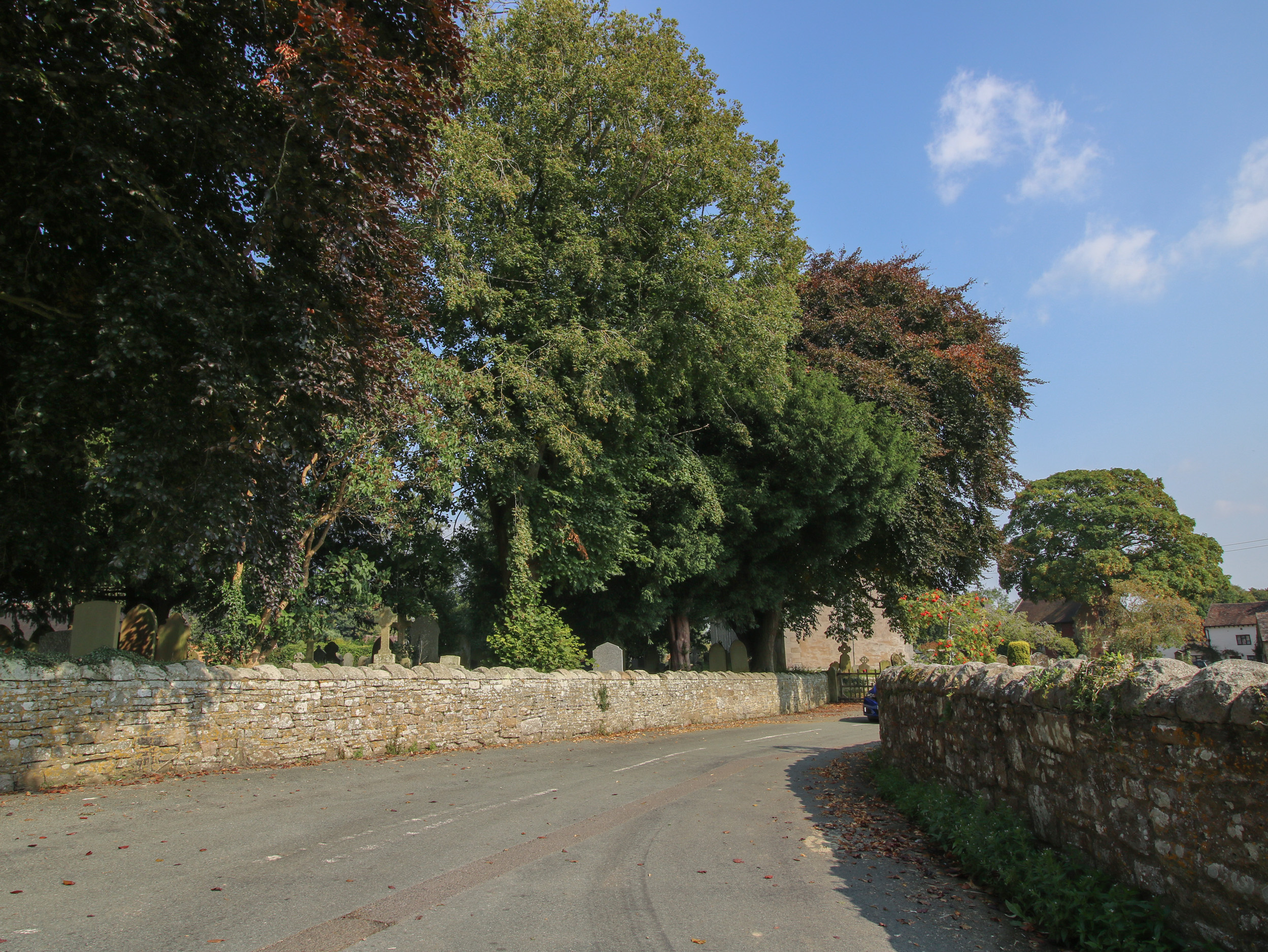 Property image 22 for SC1161411