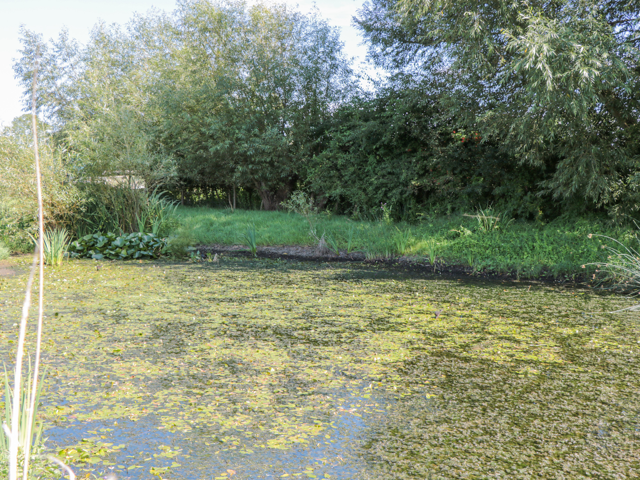 Property image 17 for SC1161543