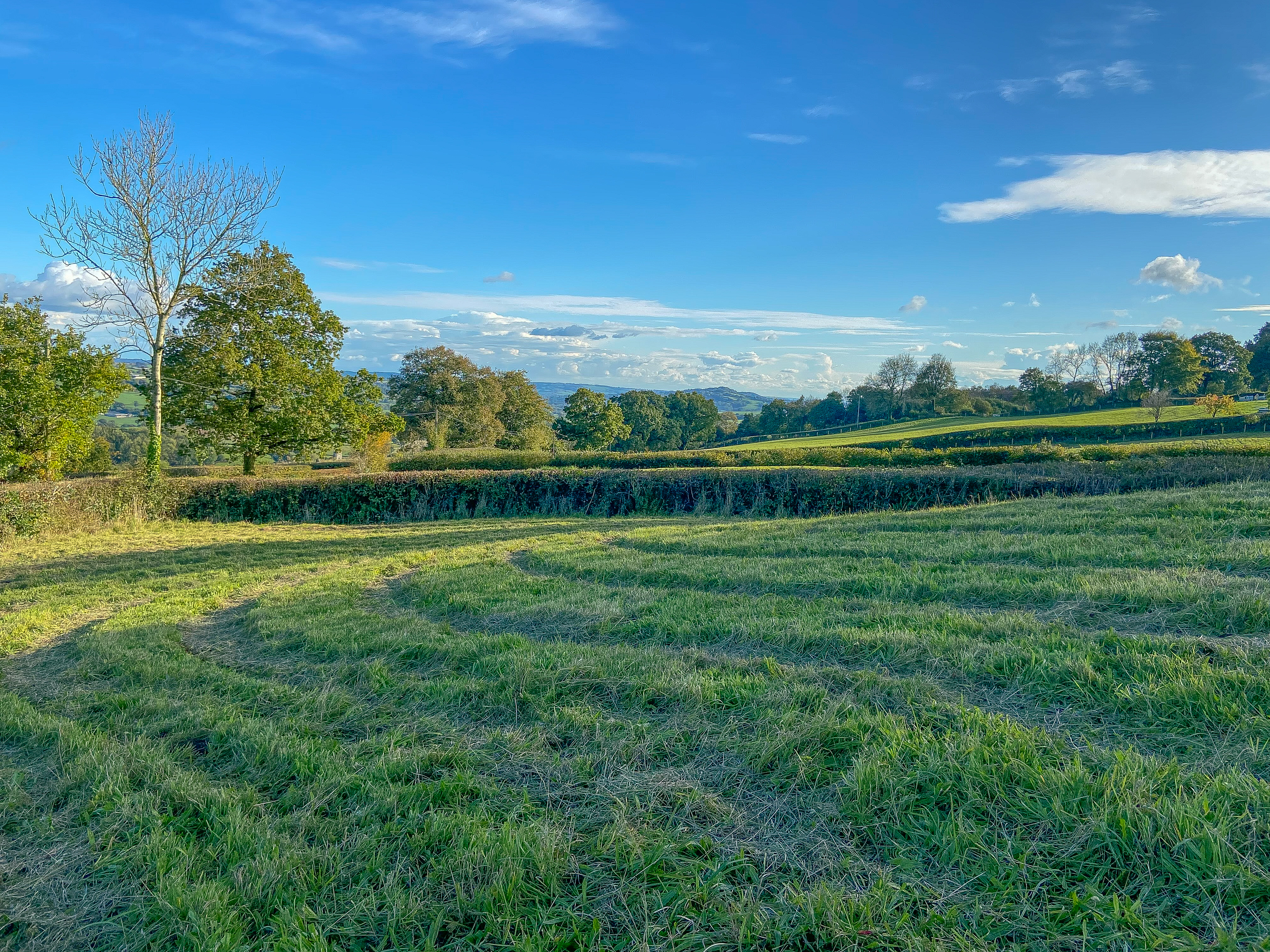 Property image 40 for SC1161790