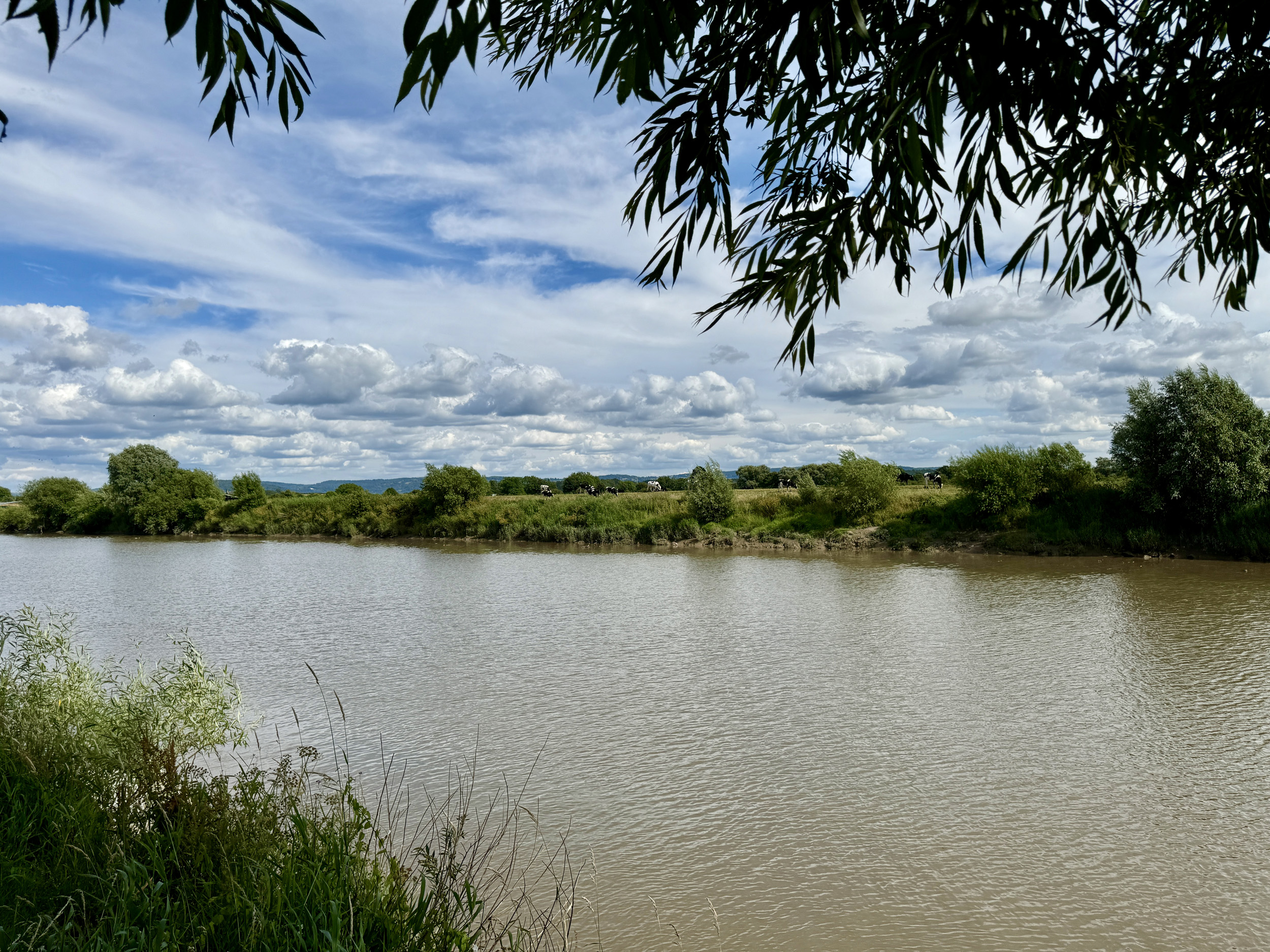 Property image 24 for SC1161989