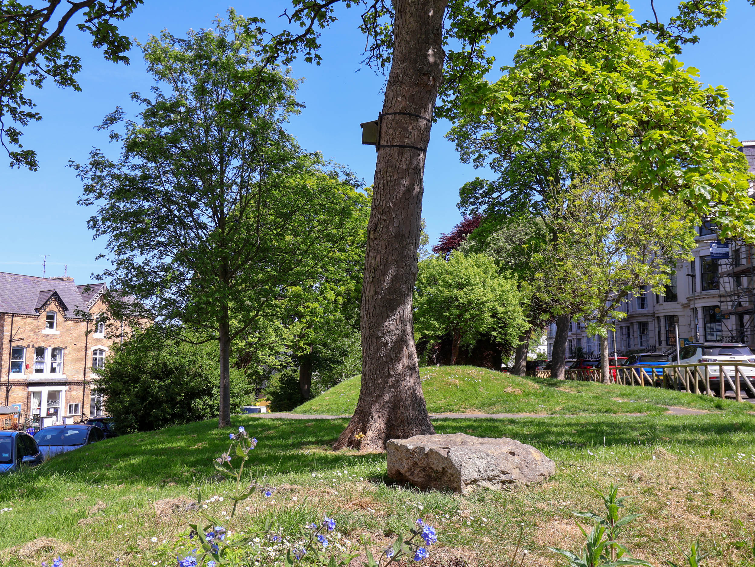 Property image 29 for SC1162122