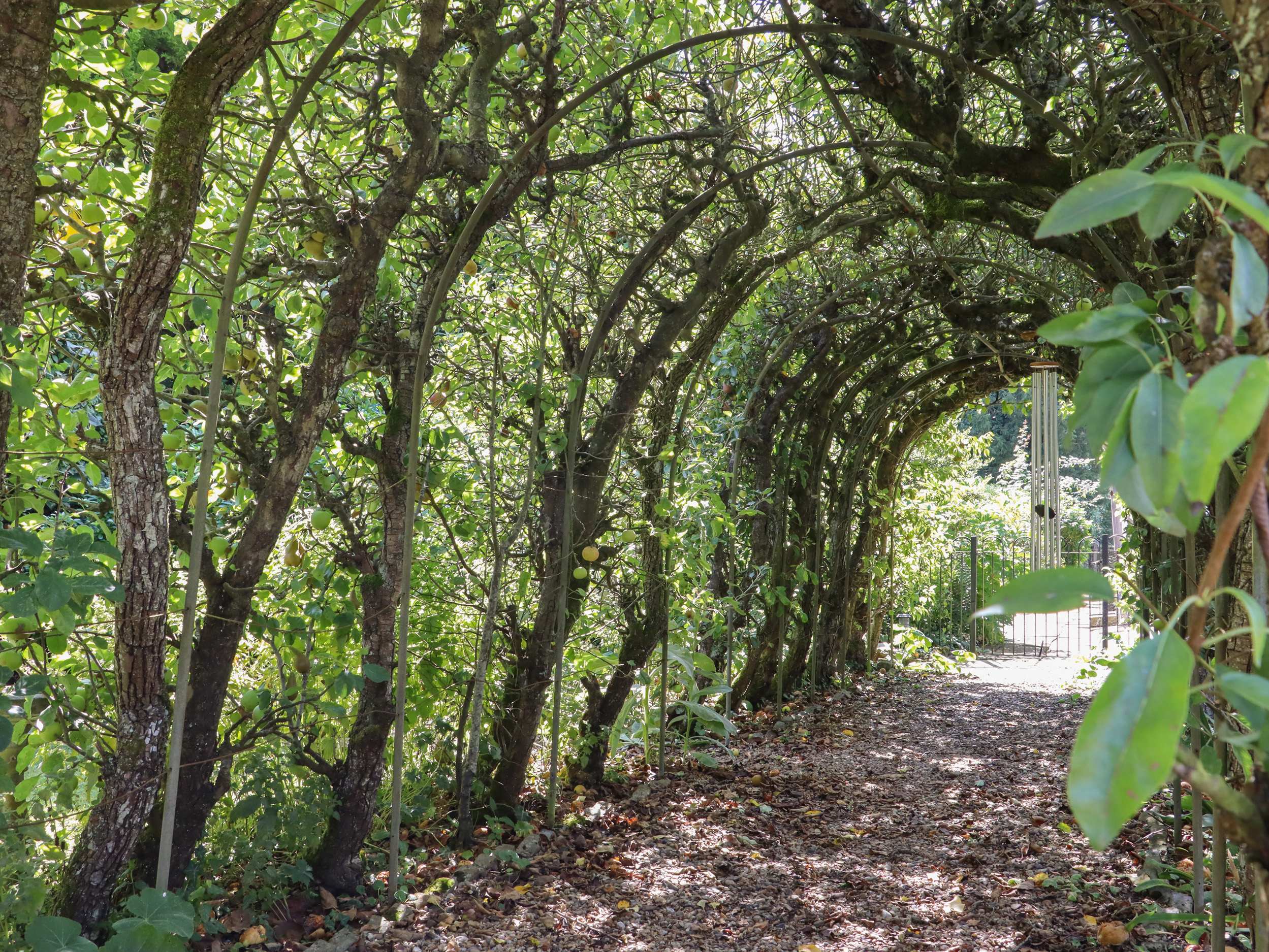 Property image 28 for SC1162125