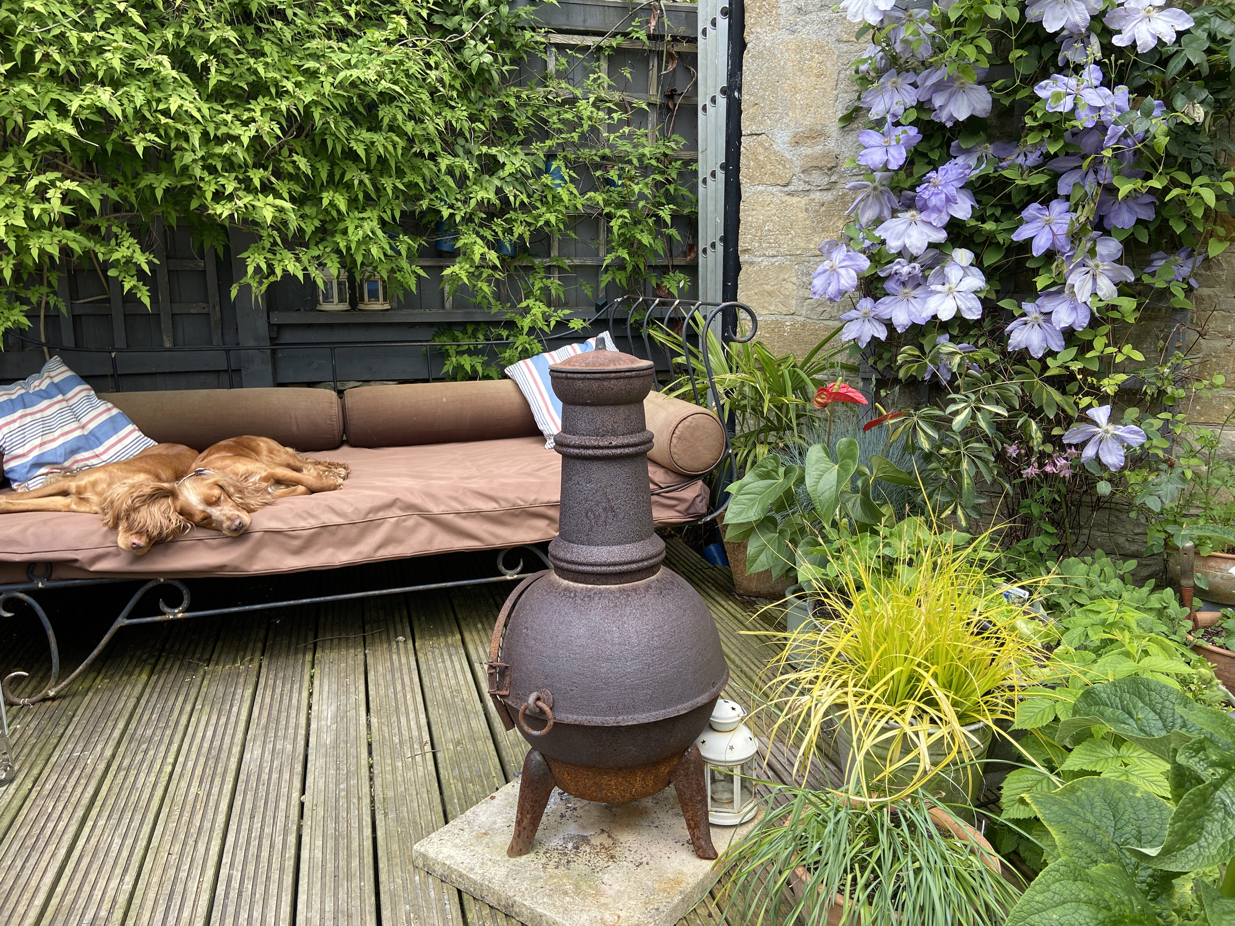 Property image 18 for SC1162152