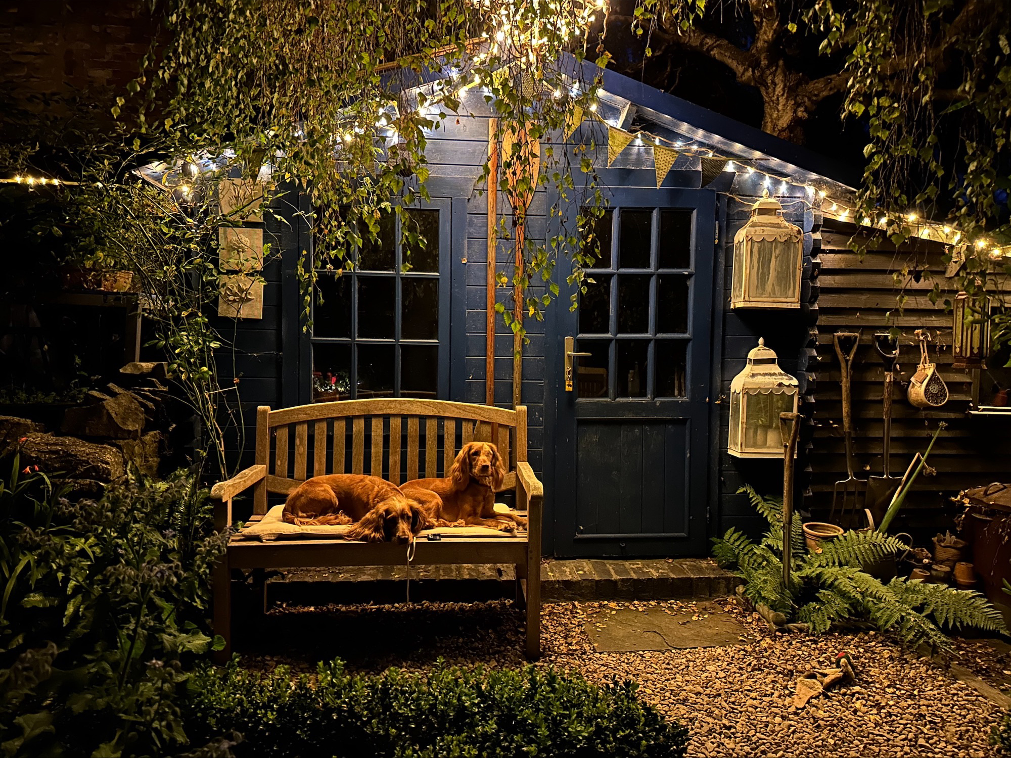 Property image 20 for SC1162152