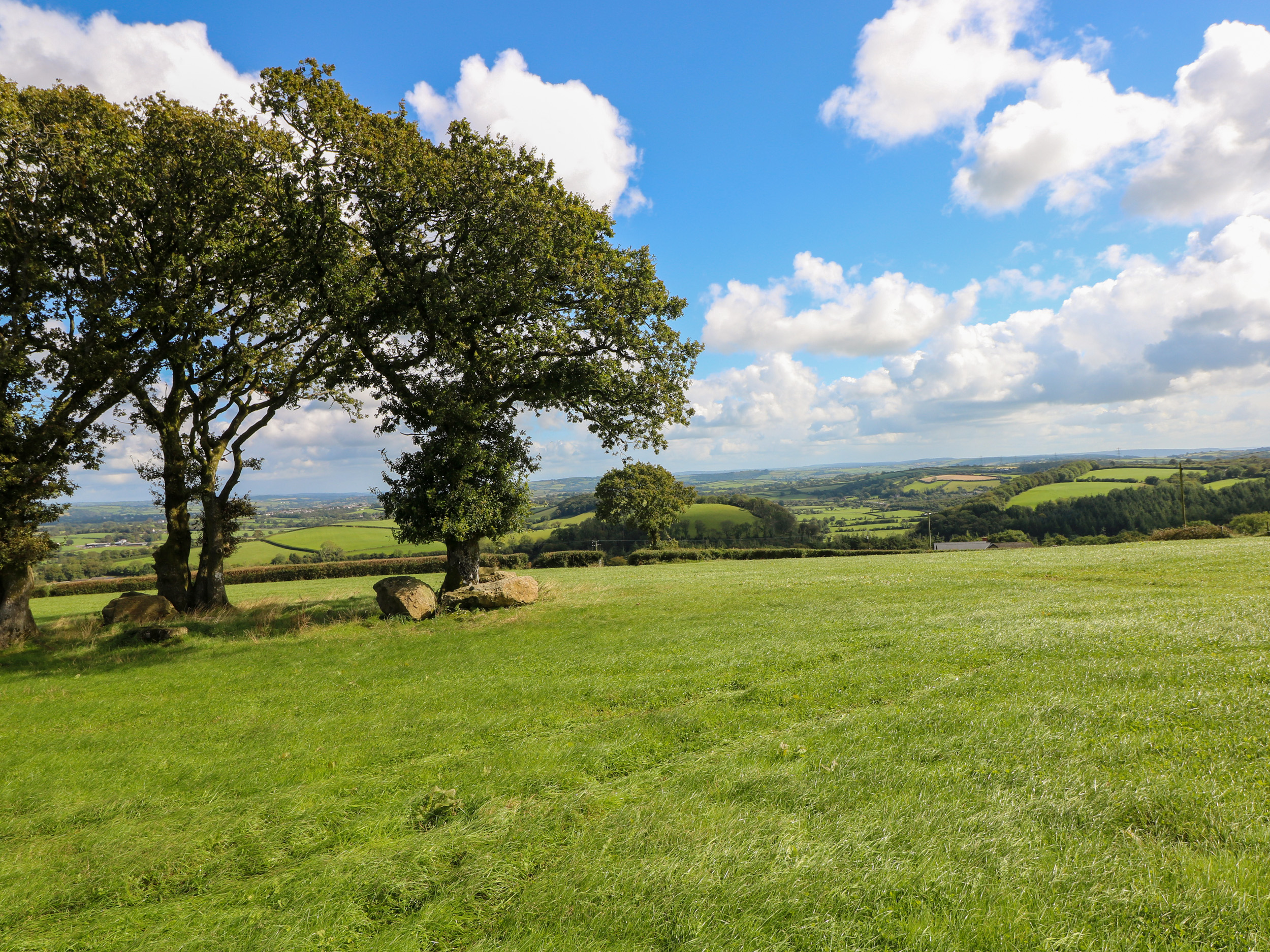 Property image 54 for SC1162230