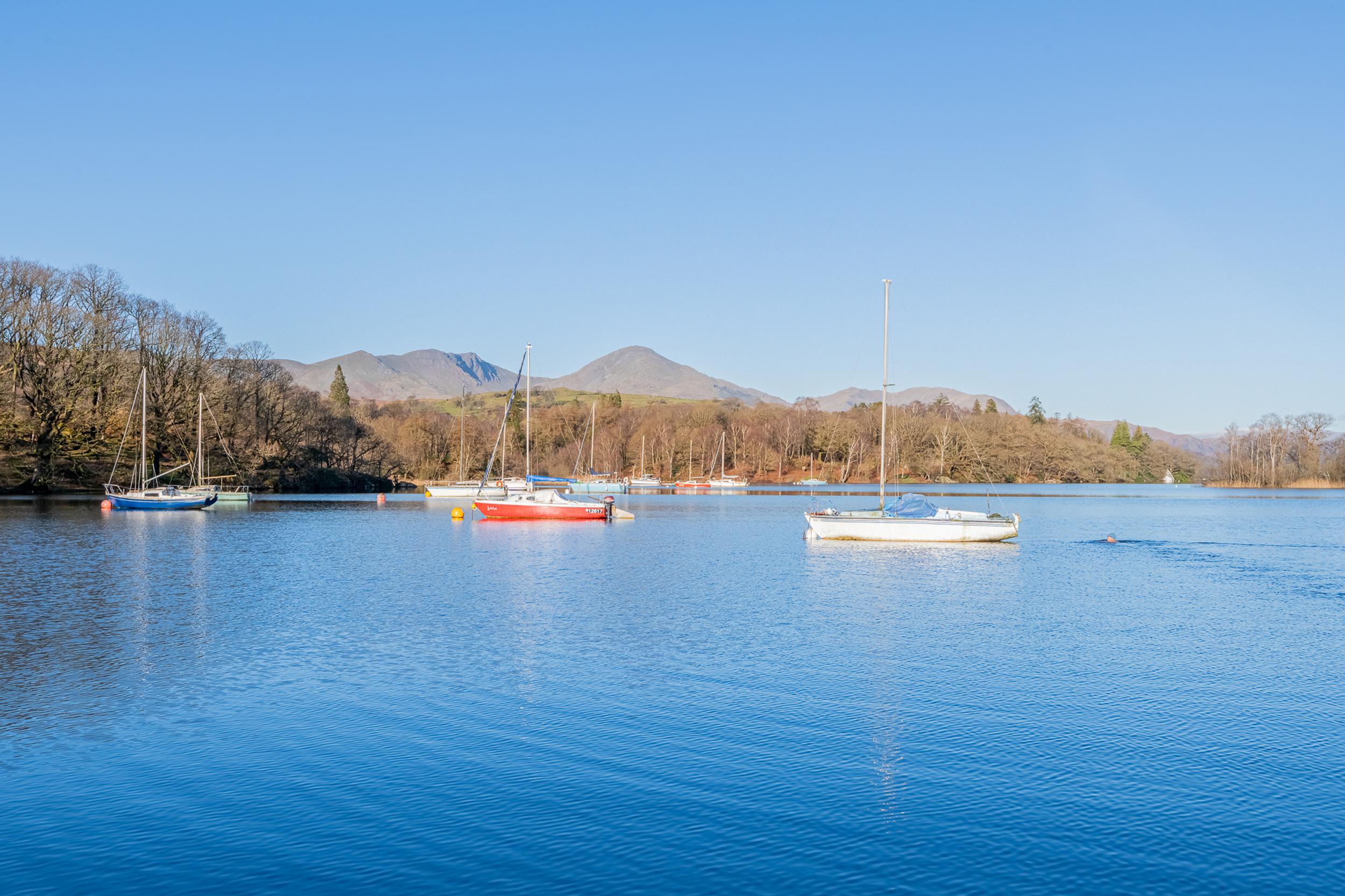 Property image 65 for SC1162359