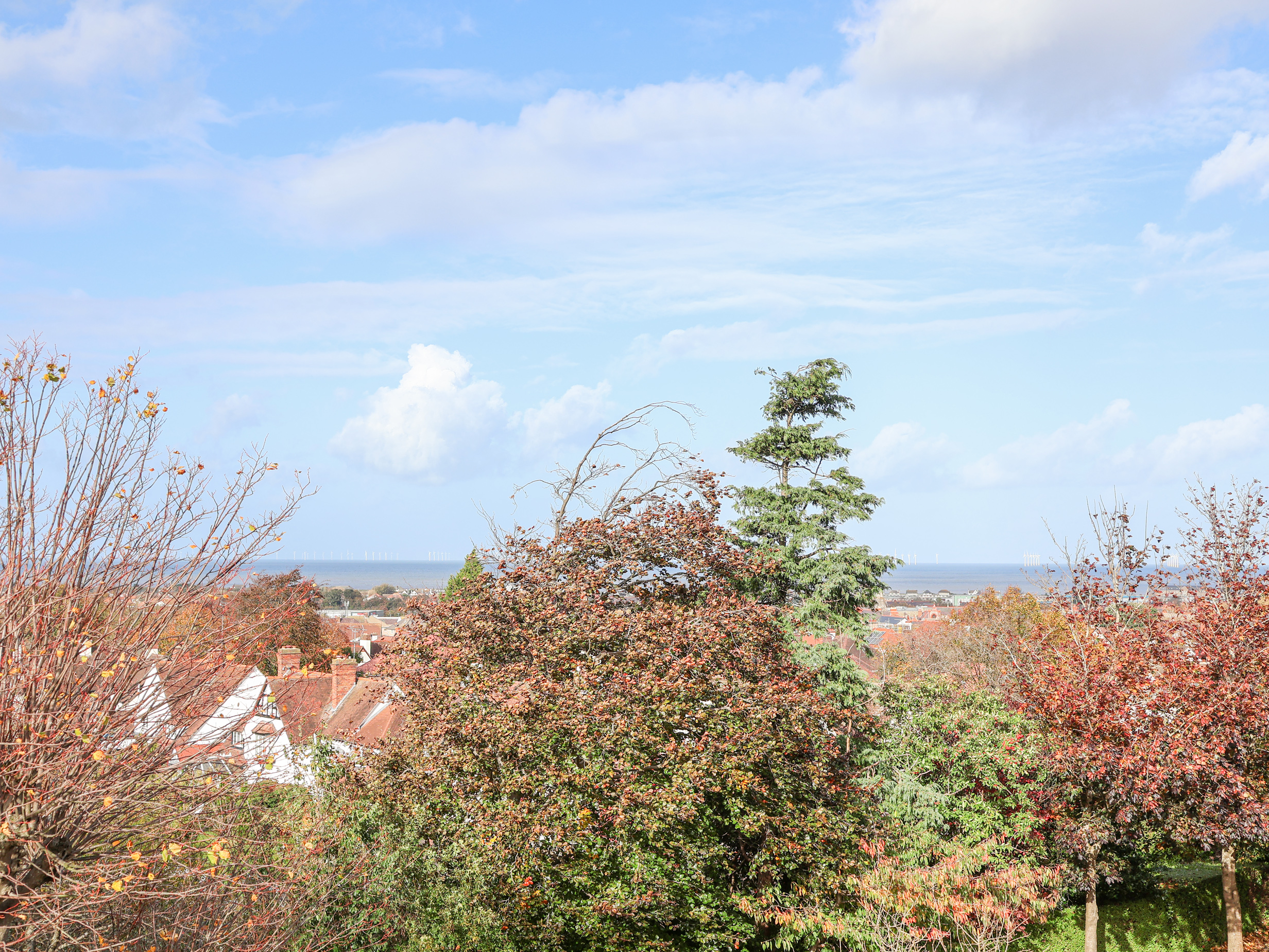 Property image 93 for SC1162365