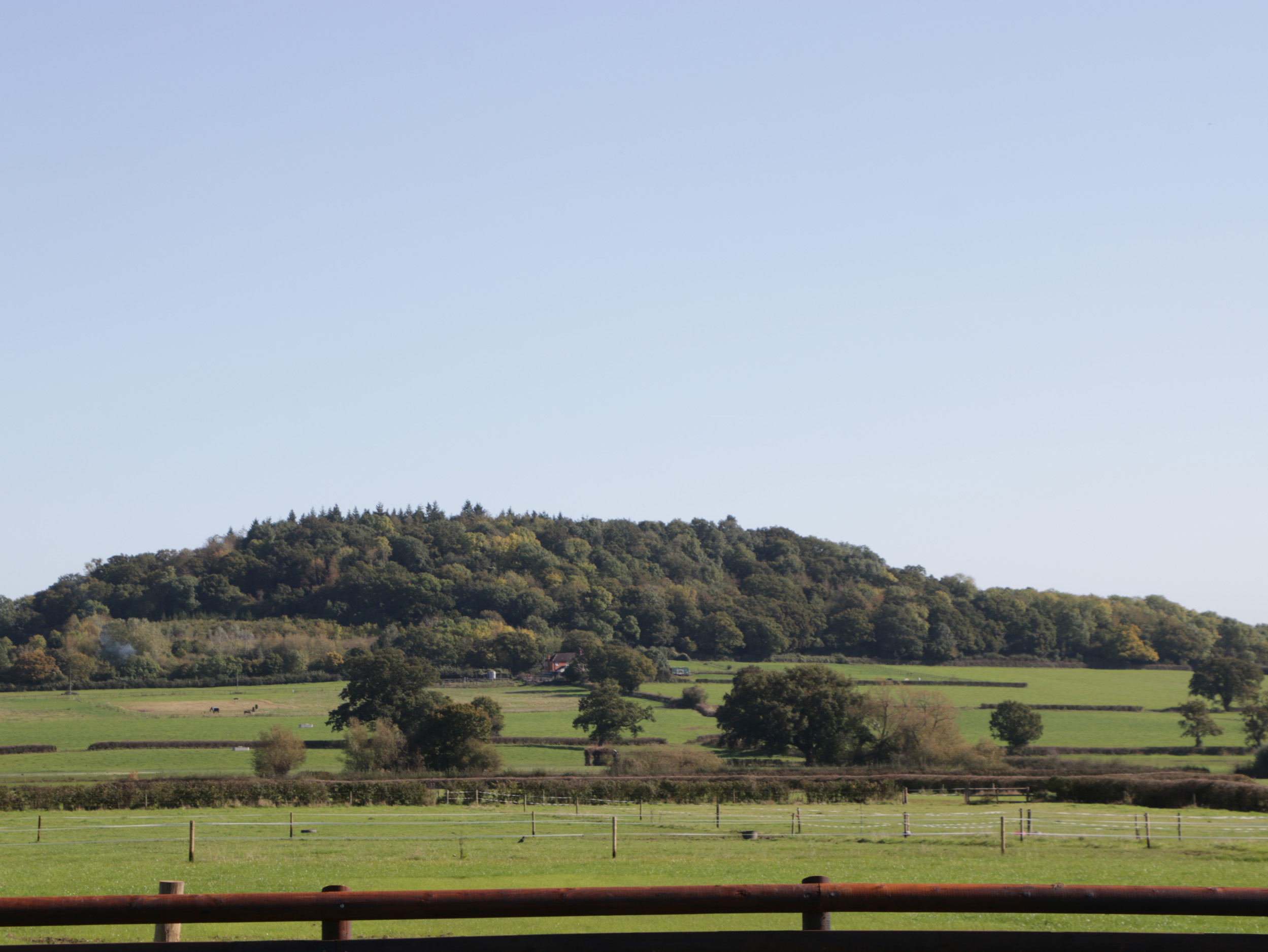 Property image 25 for SC1162546