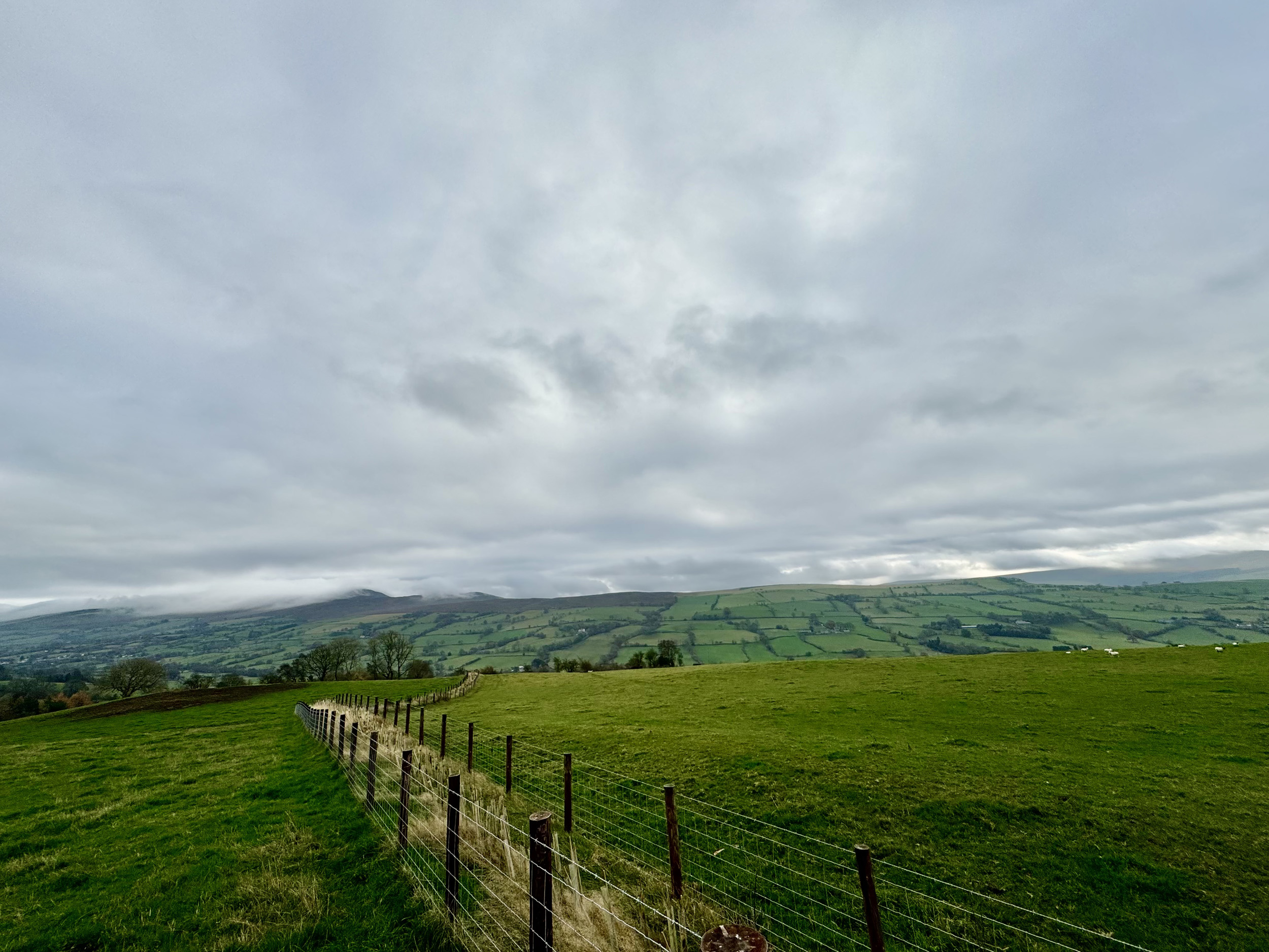 Property image 56 for SC1162911