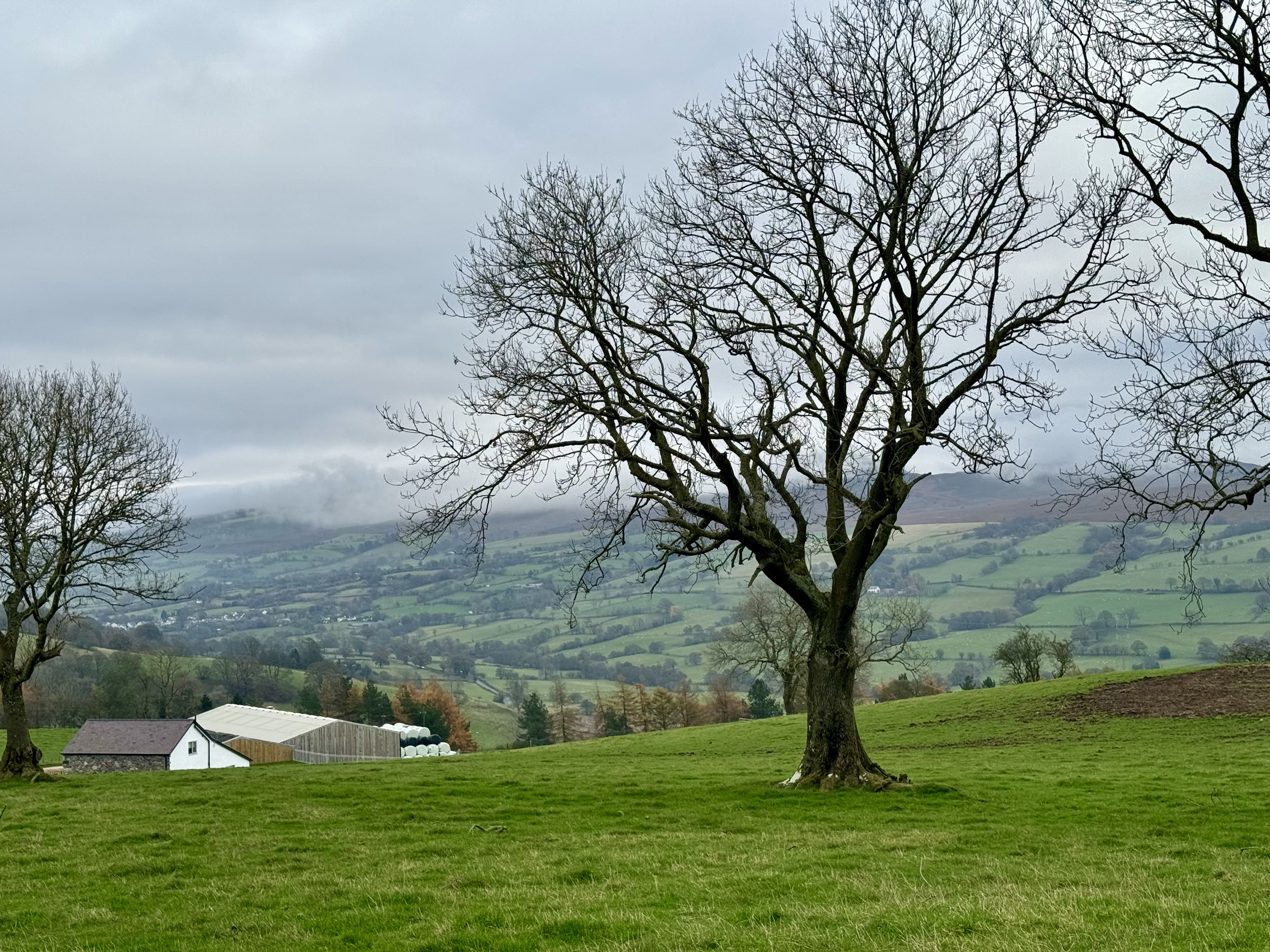 Property image 57 for SC1162911