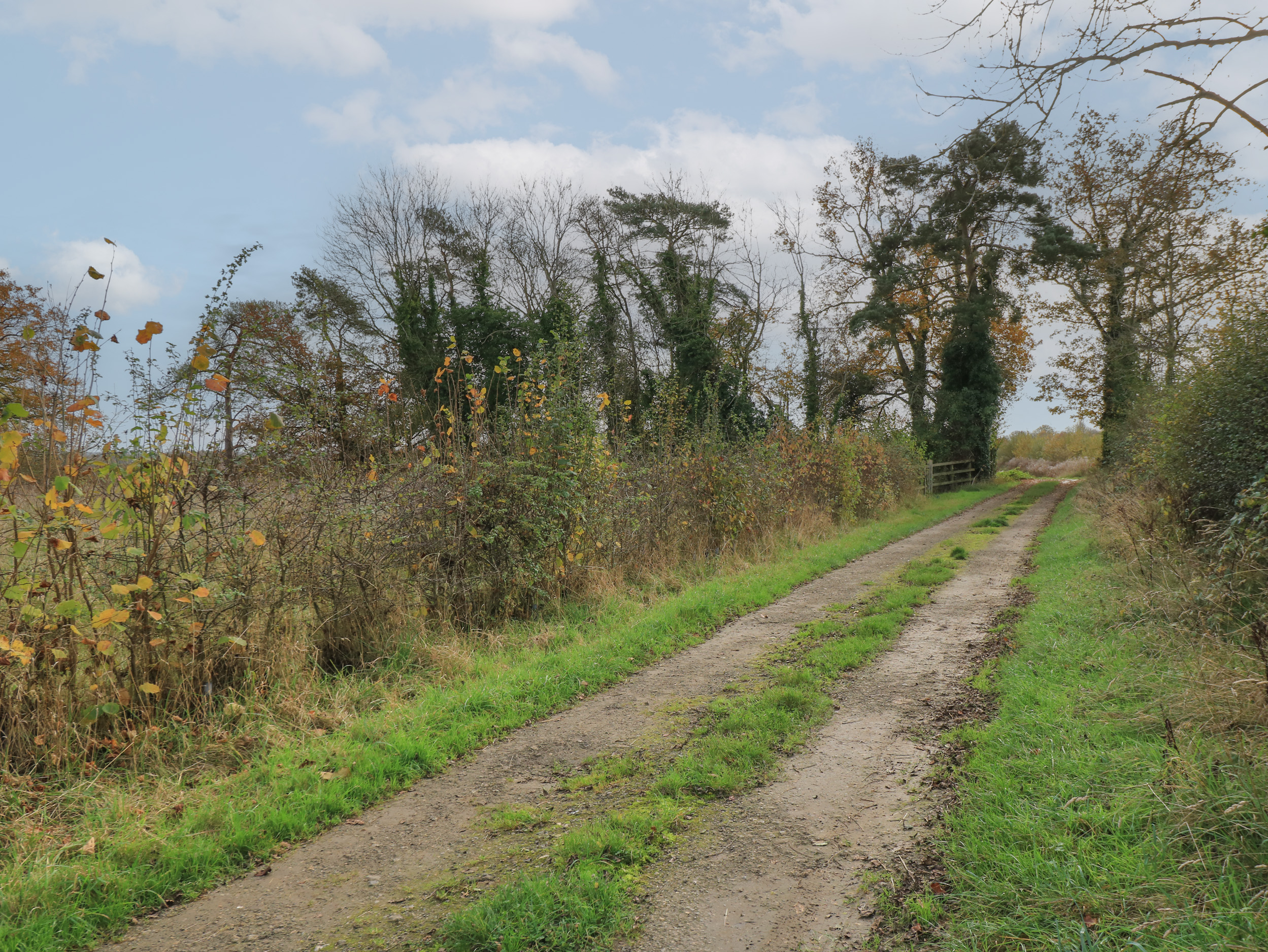 Property image 30 for SC1163056