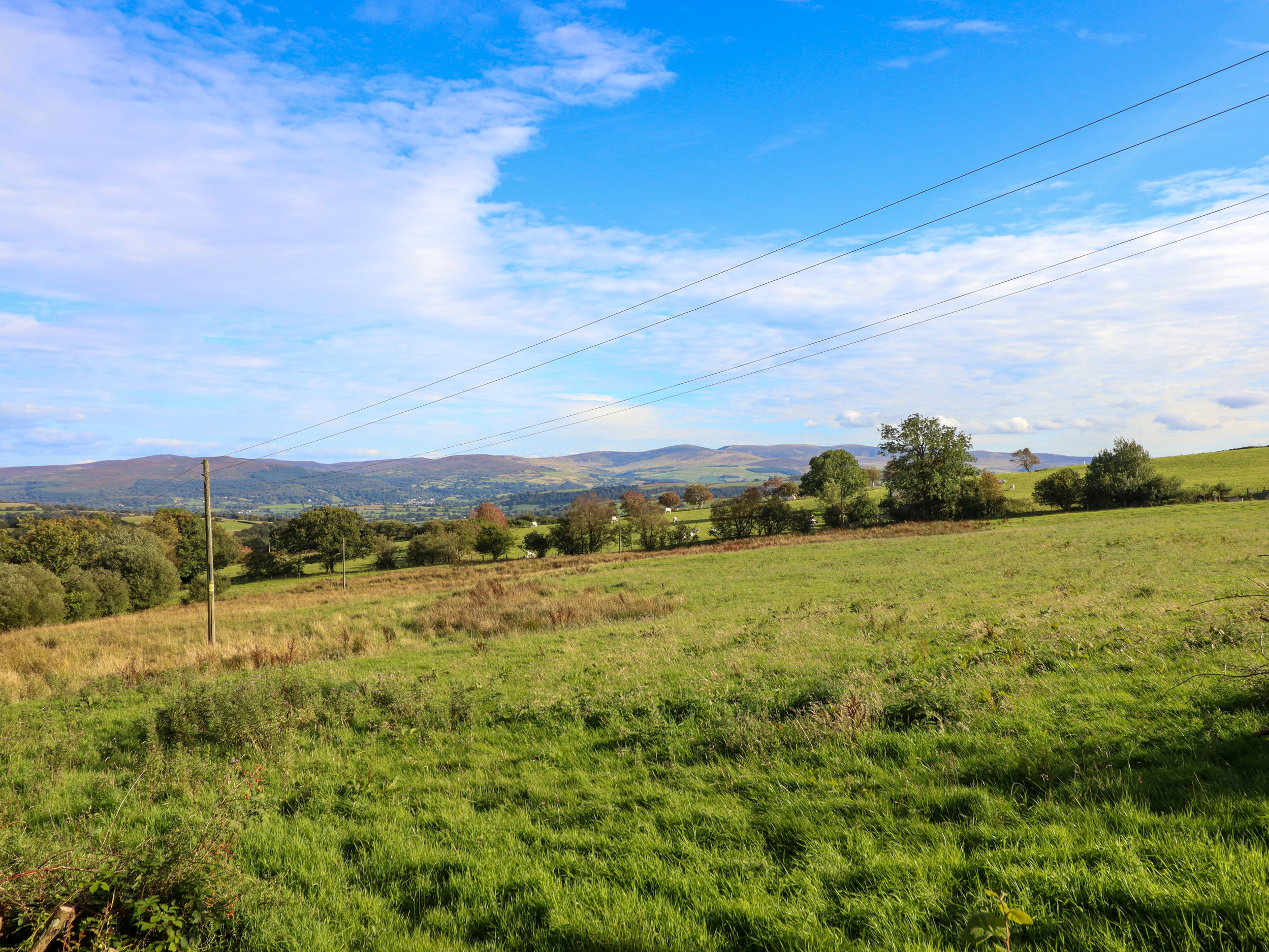 Property image 41 for SC1163165