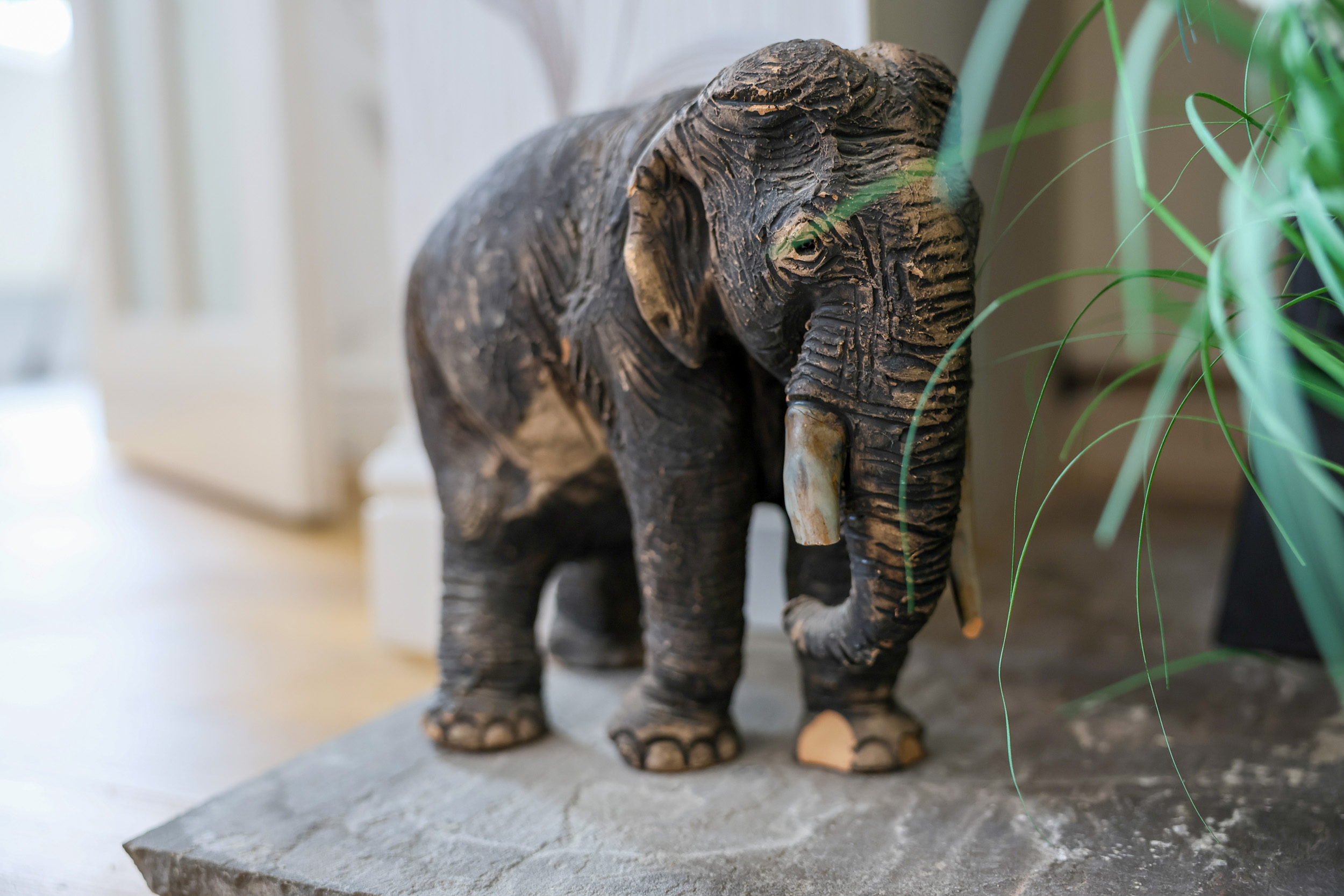 Property image 10 for SC1163264