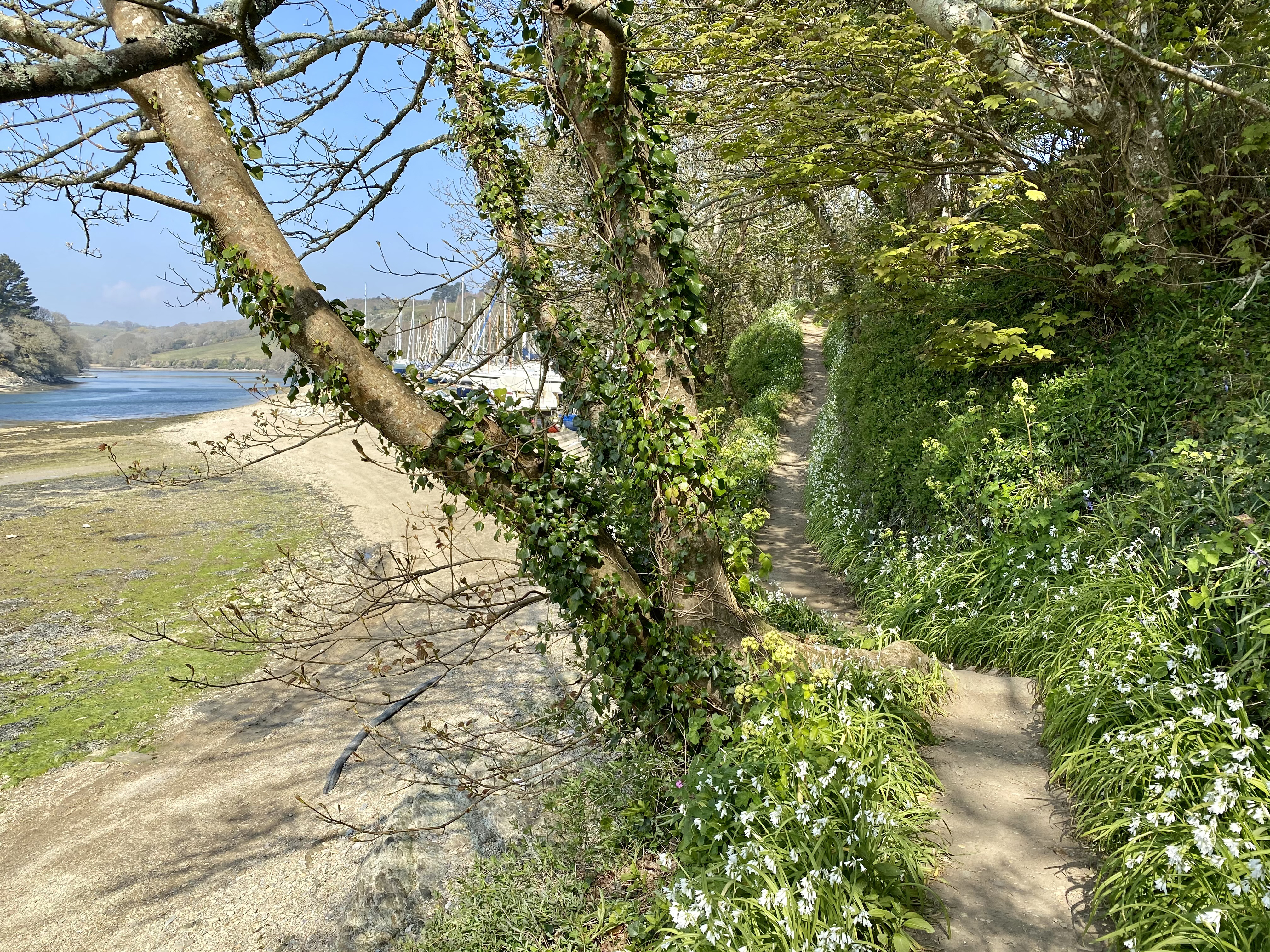 Property image 25 for SC1163530