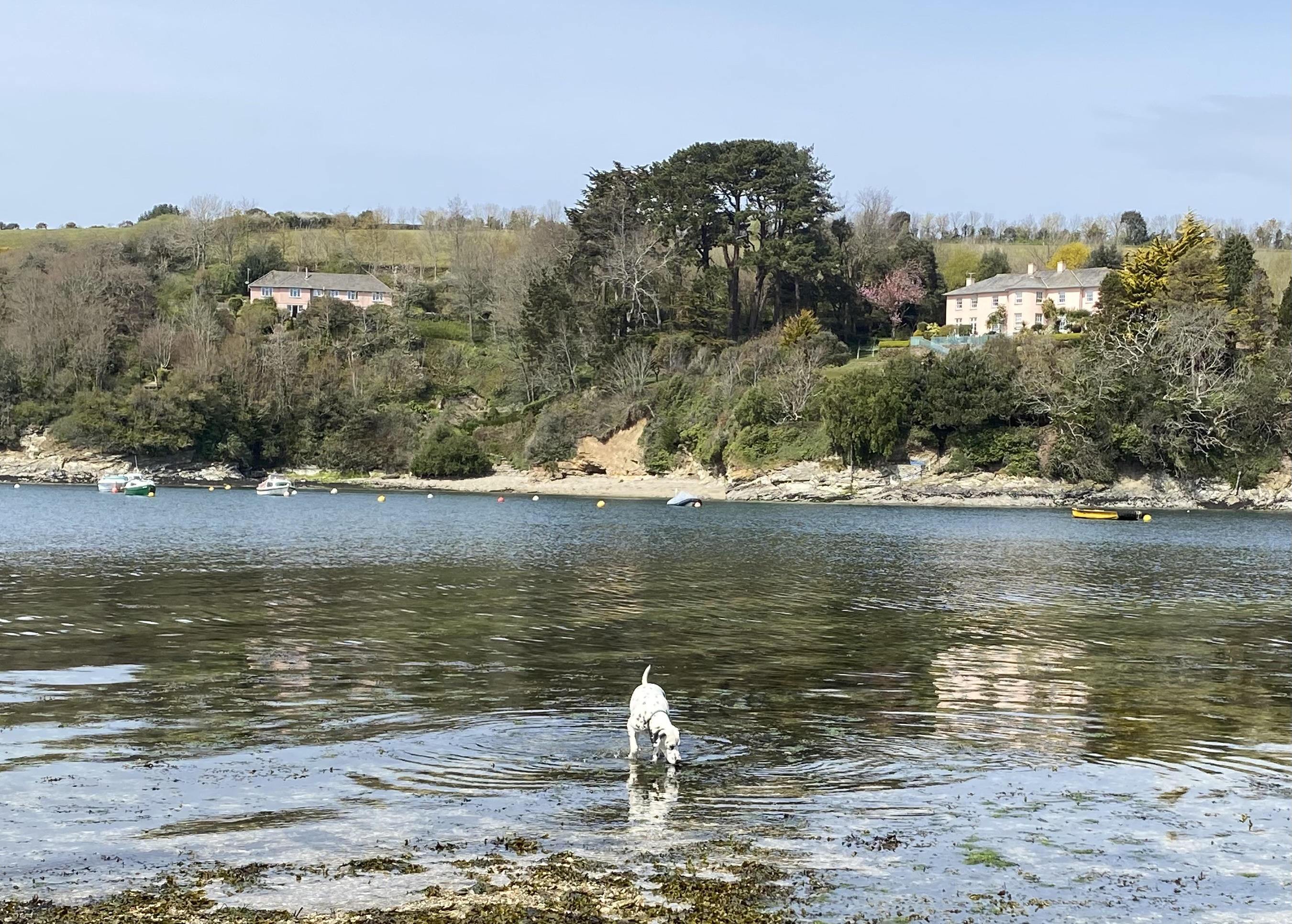 Property image 29 for SC1163530