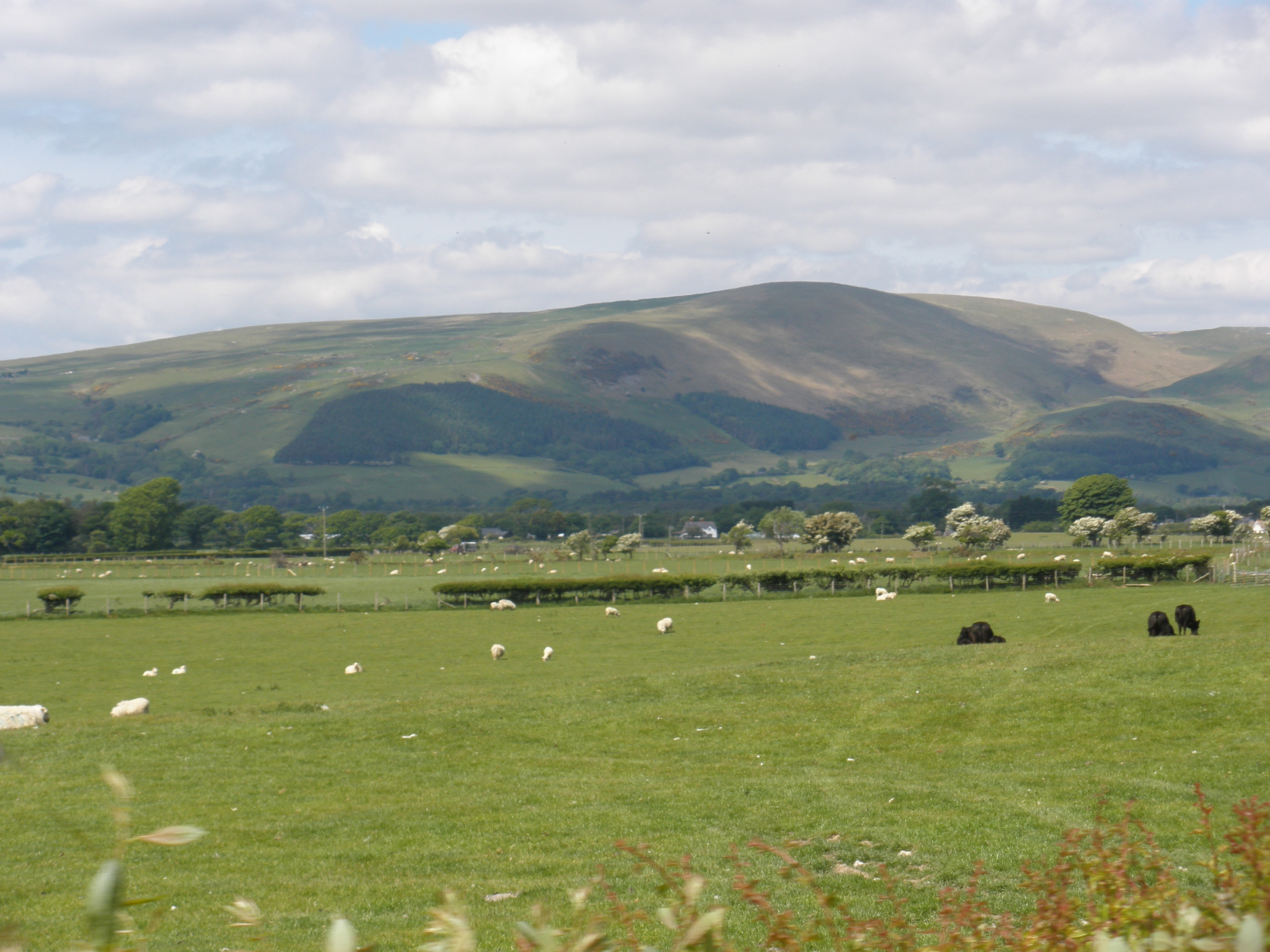 Property image 67 for SC1163718