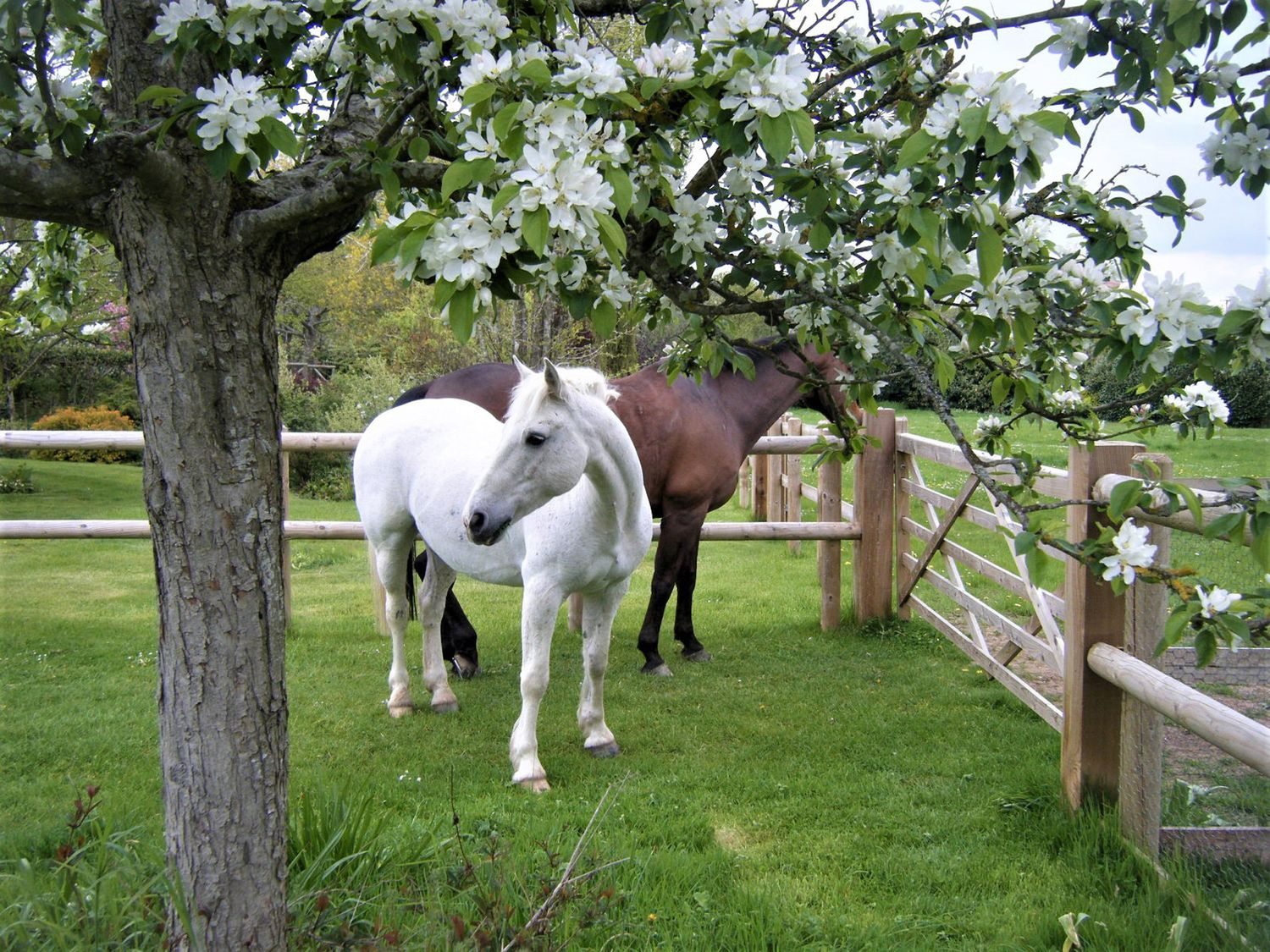 Property image 18 for SC1163732