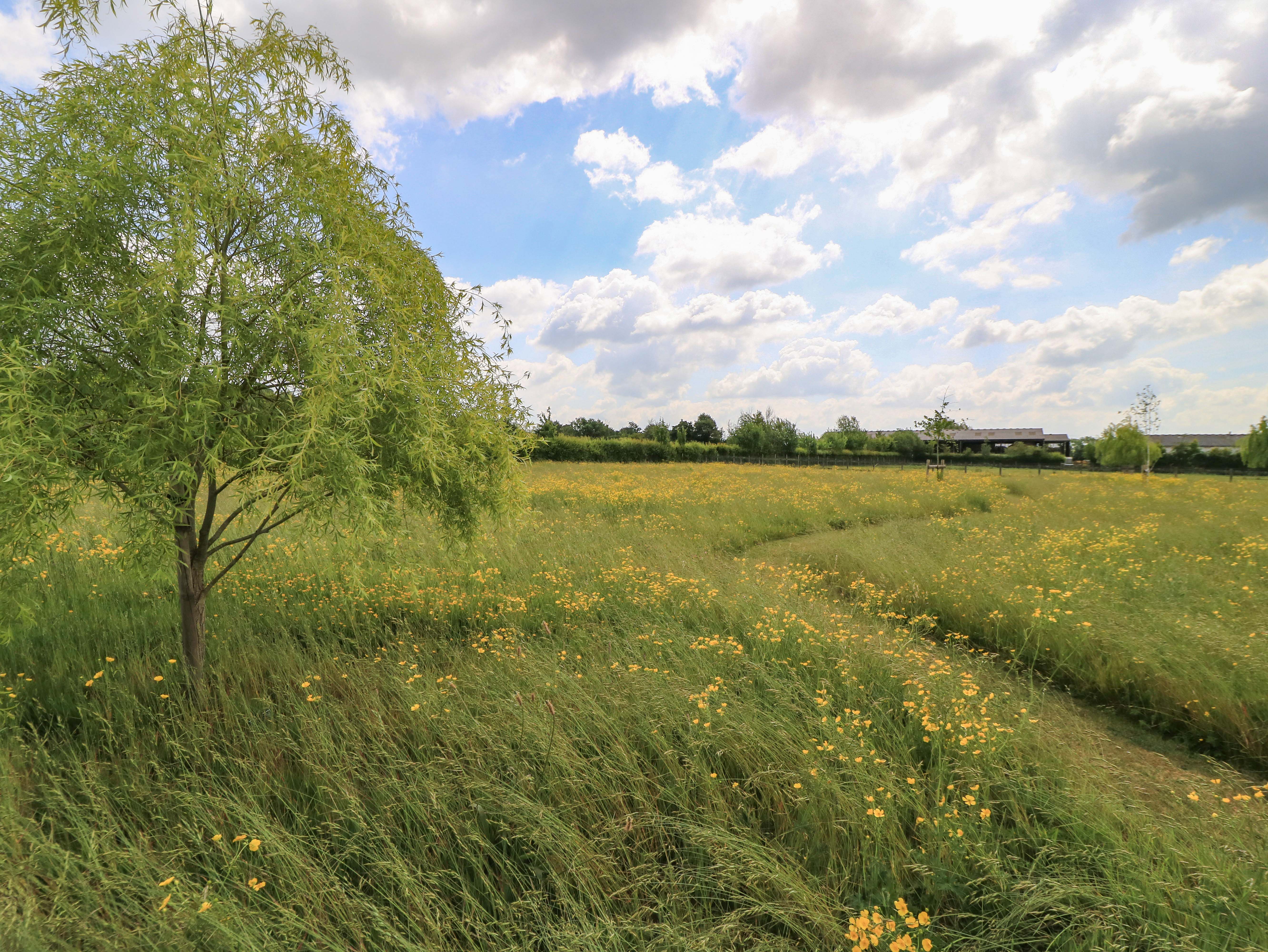 Property image 17 for SC1164193