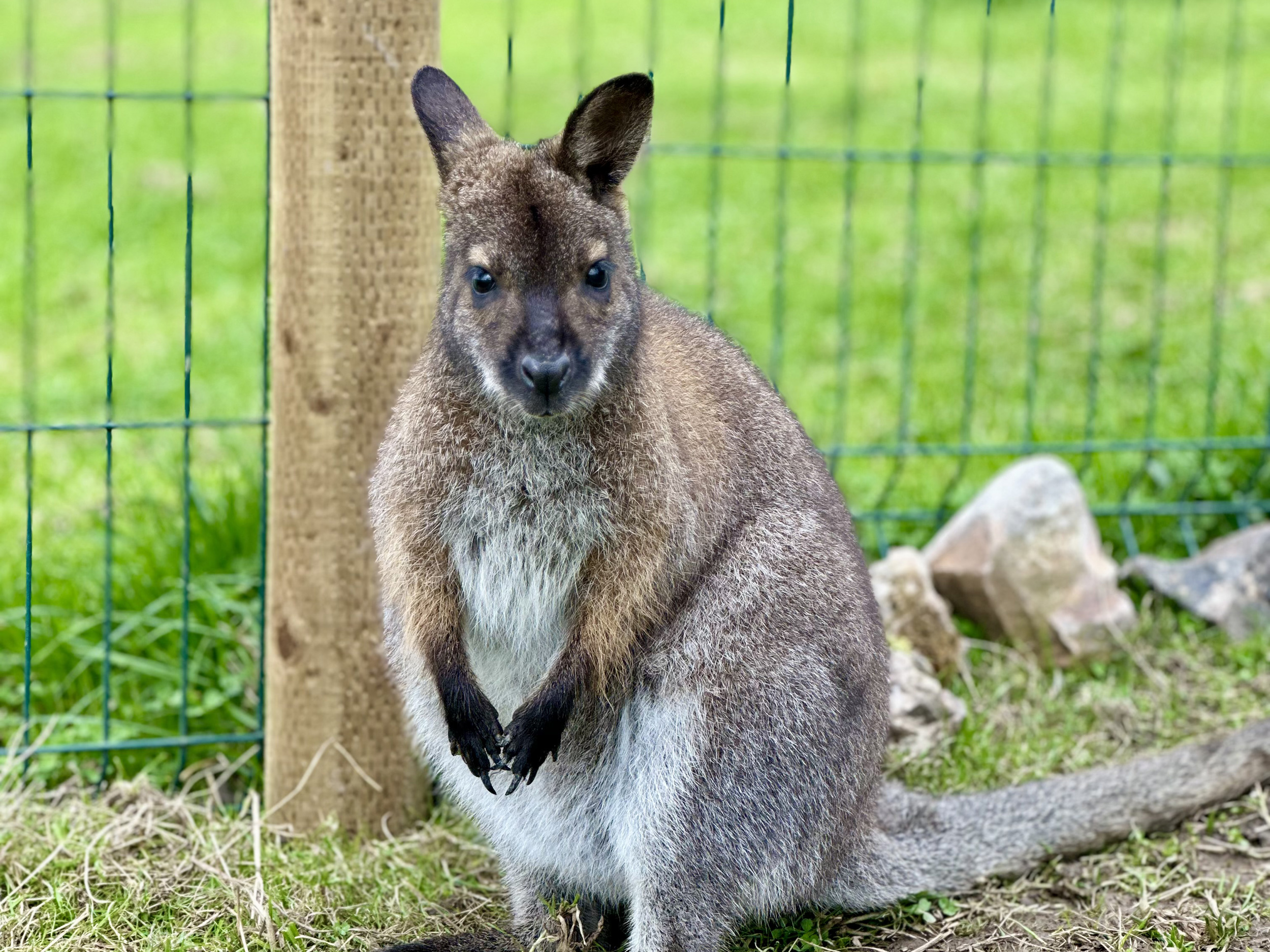 Property image 55 for SC1164375