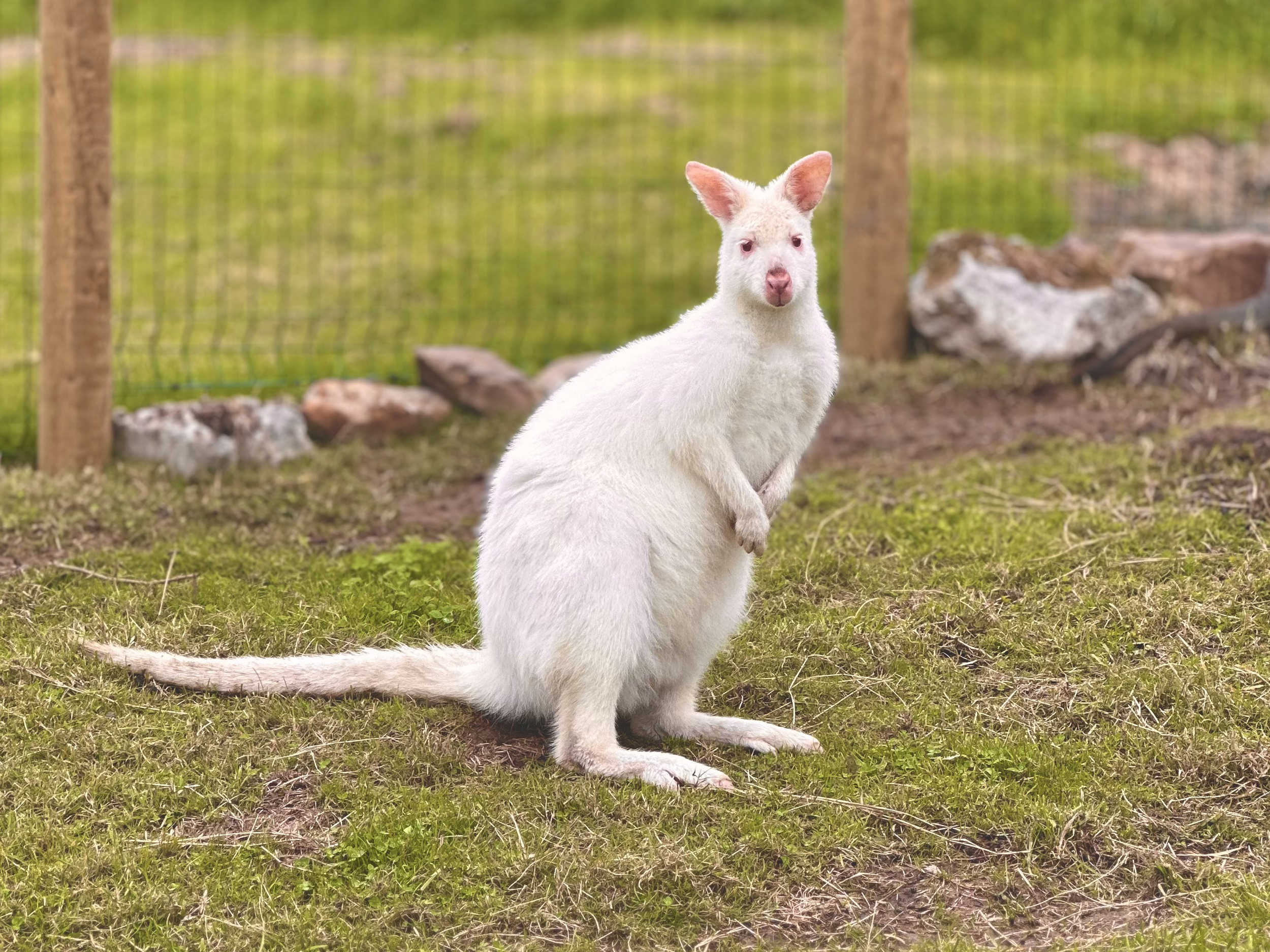 Property image 58 for SC1164375