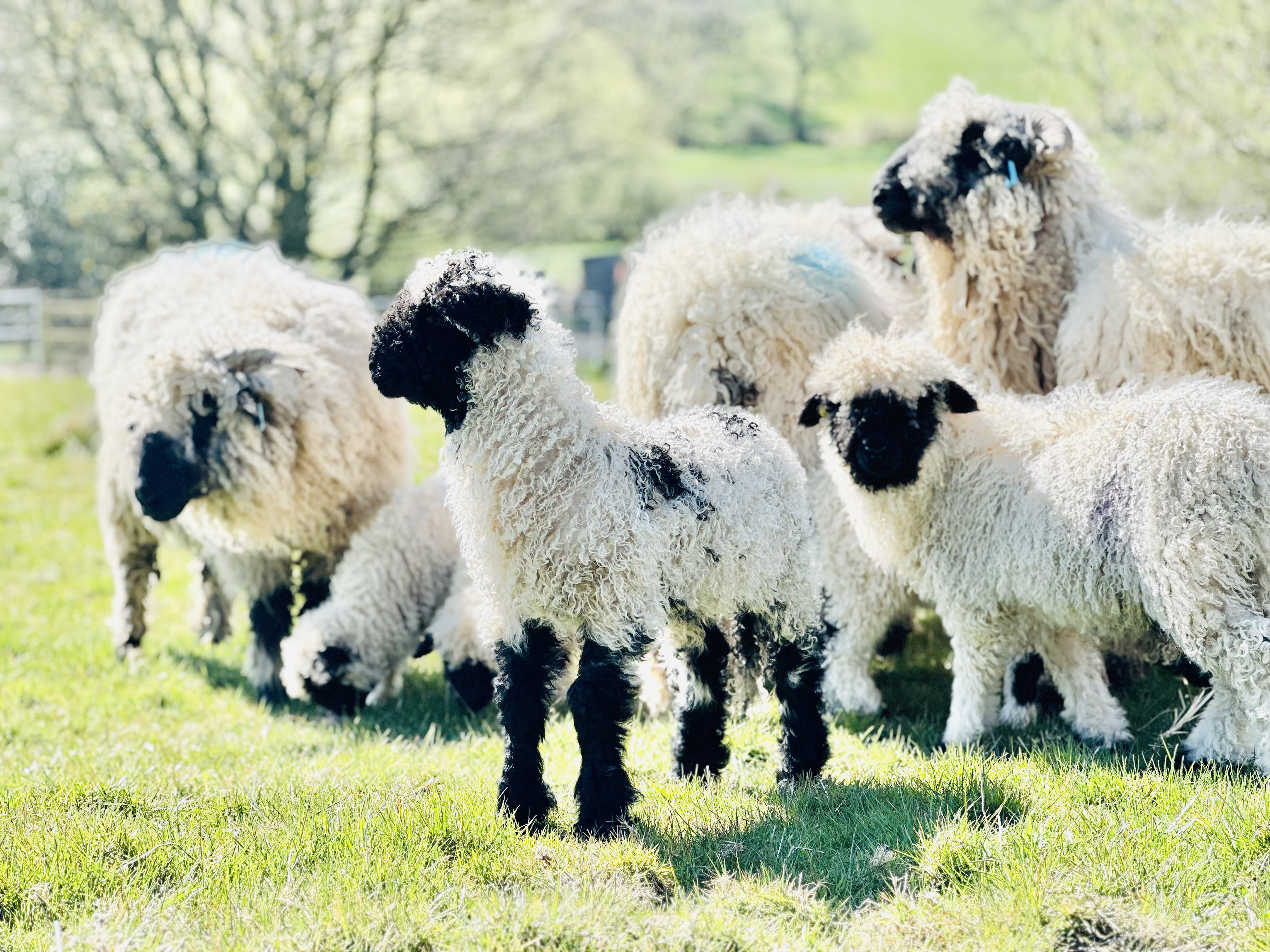 Property image 64 for SC1164378