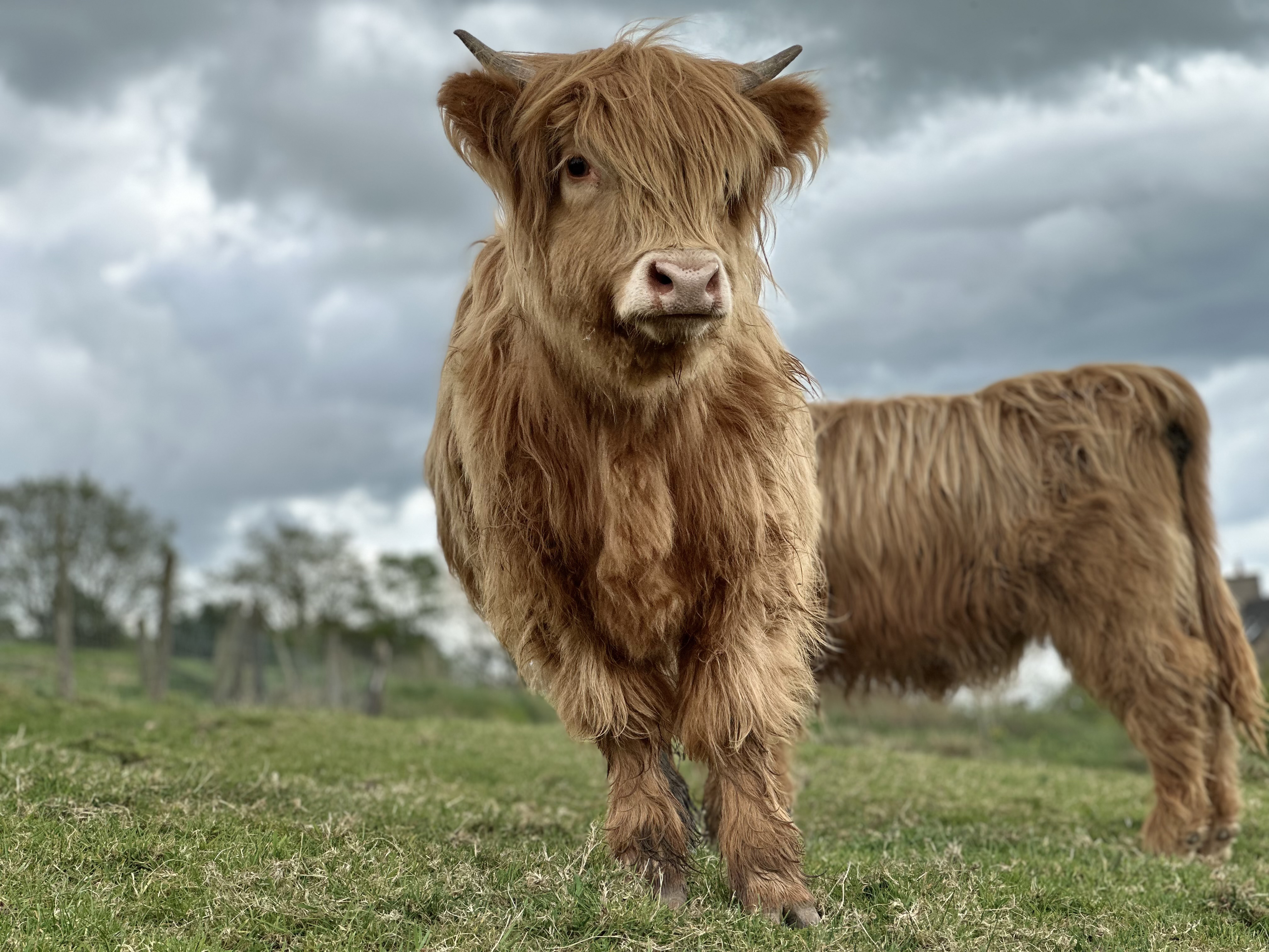 Property image 65 for SC1164378