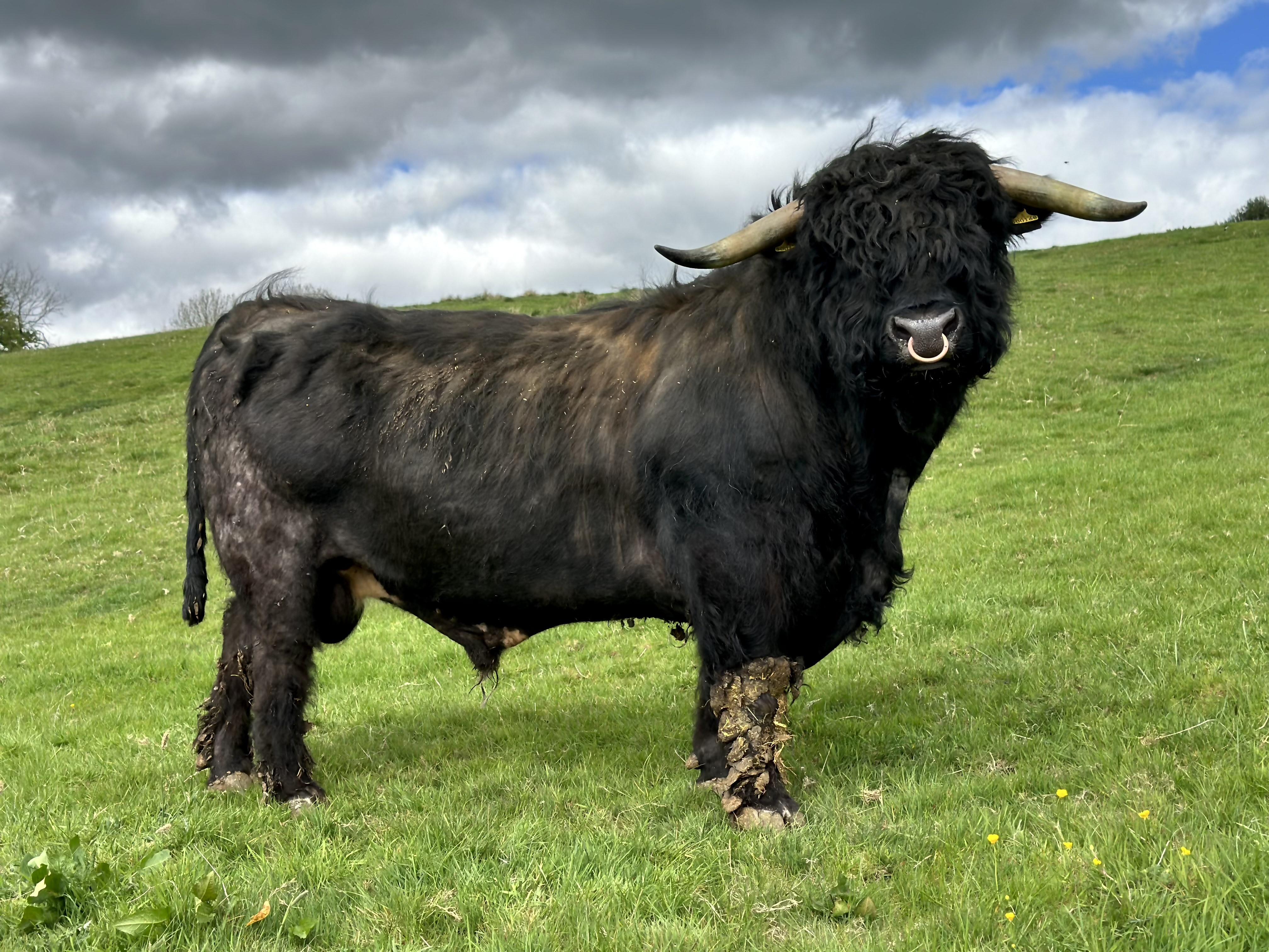 Property image 66 for SC1164378