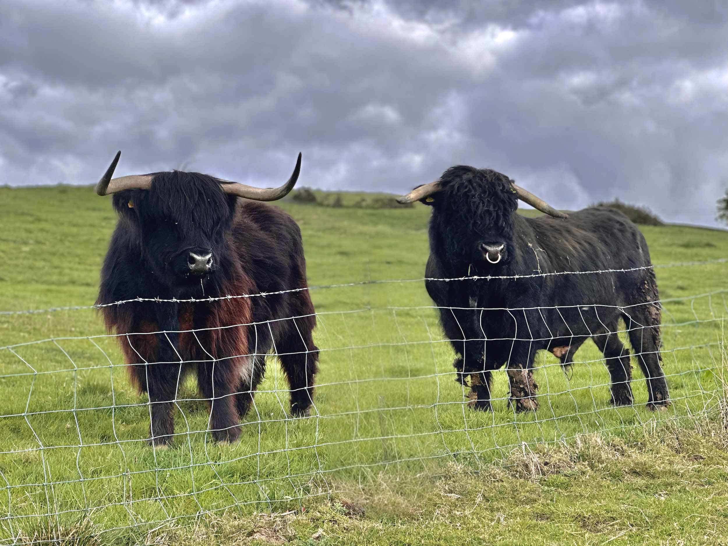 Property image 68 for SC1164378