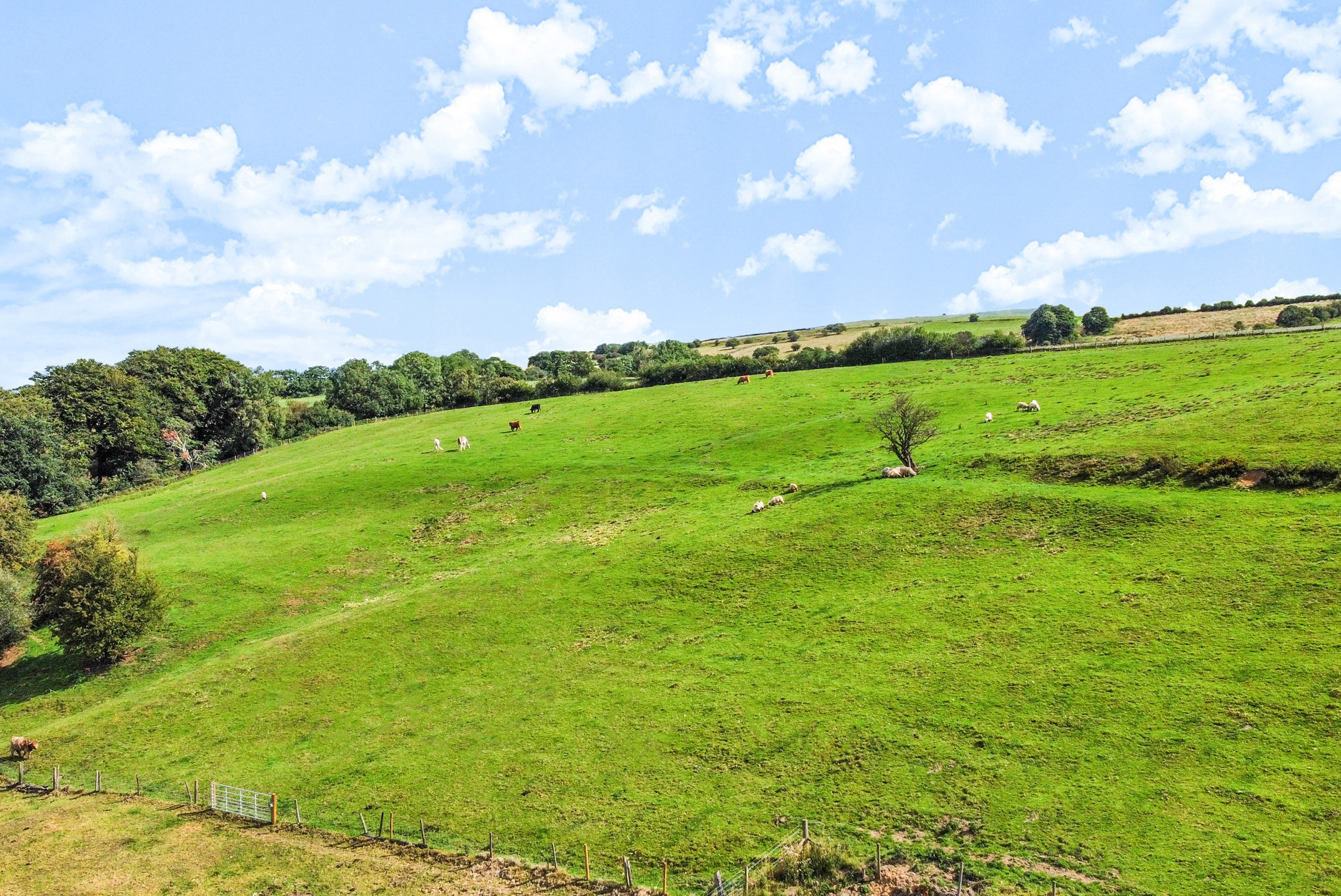 Property image 51 for SC1164378