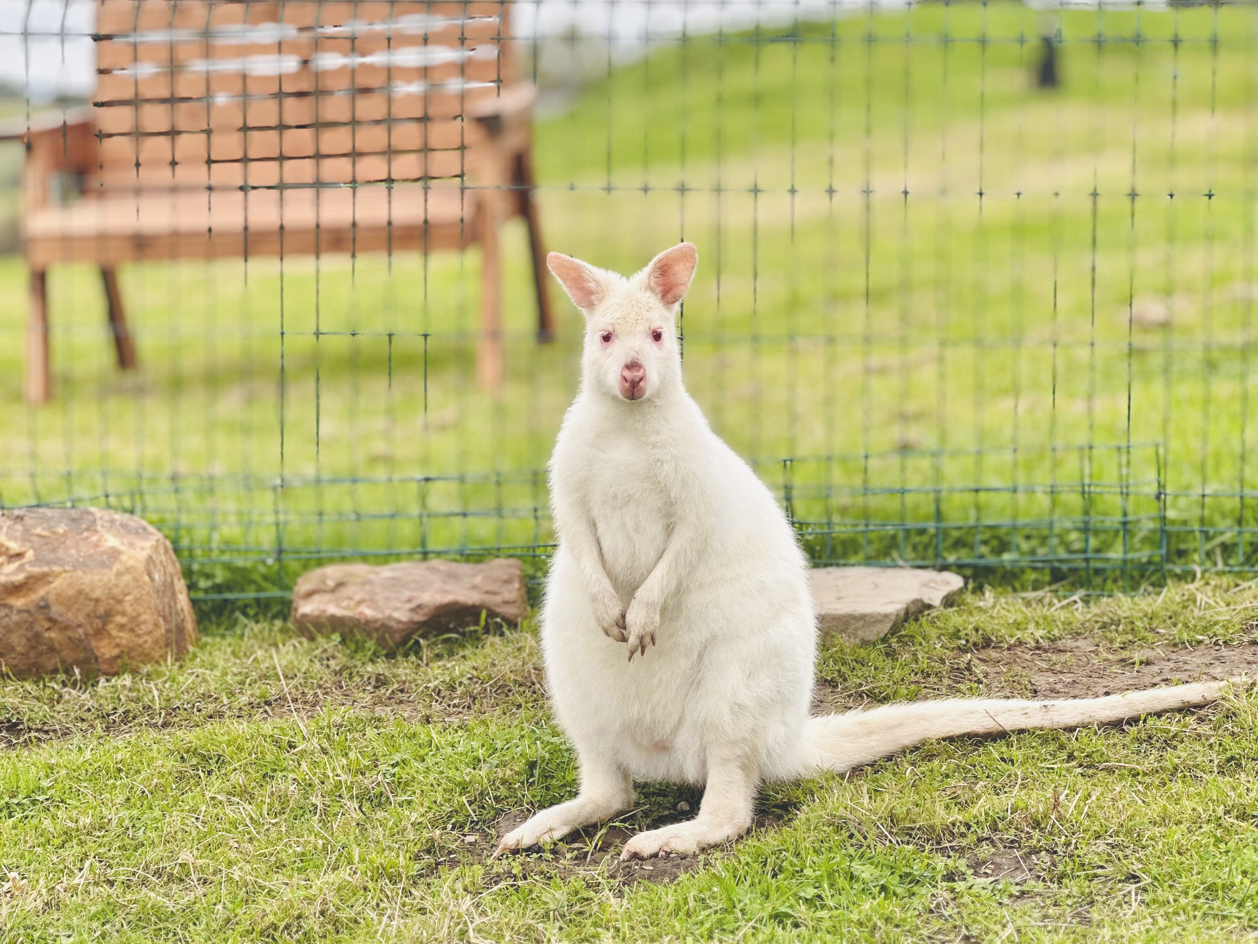 Property image 58 for SC1164378