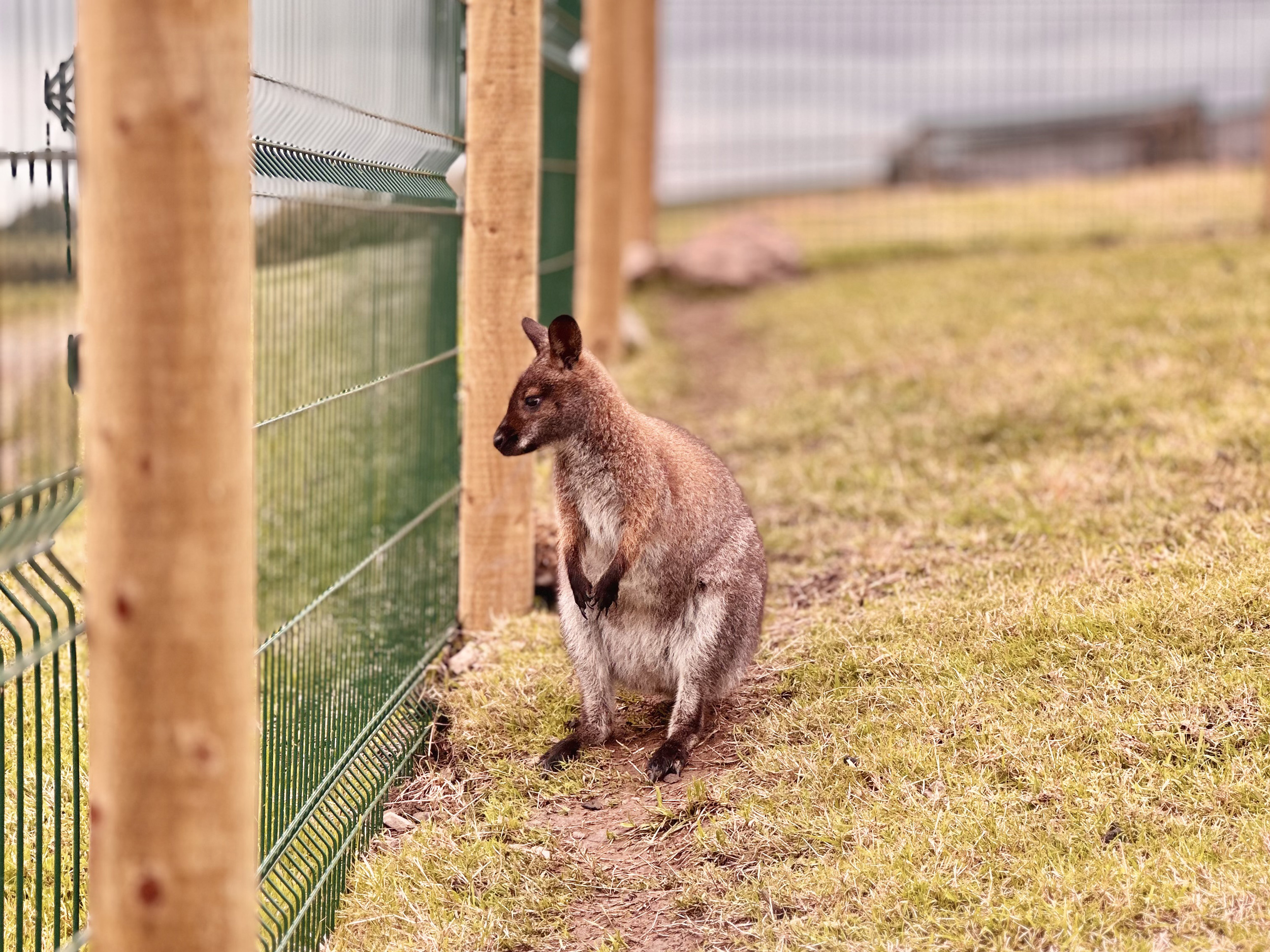 Property image 61 for SC1164378