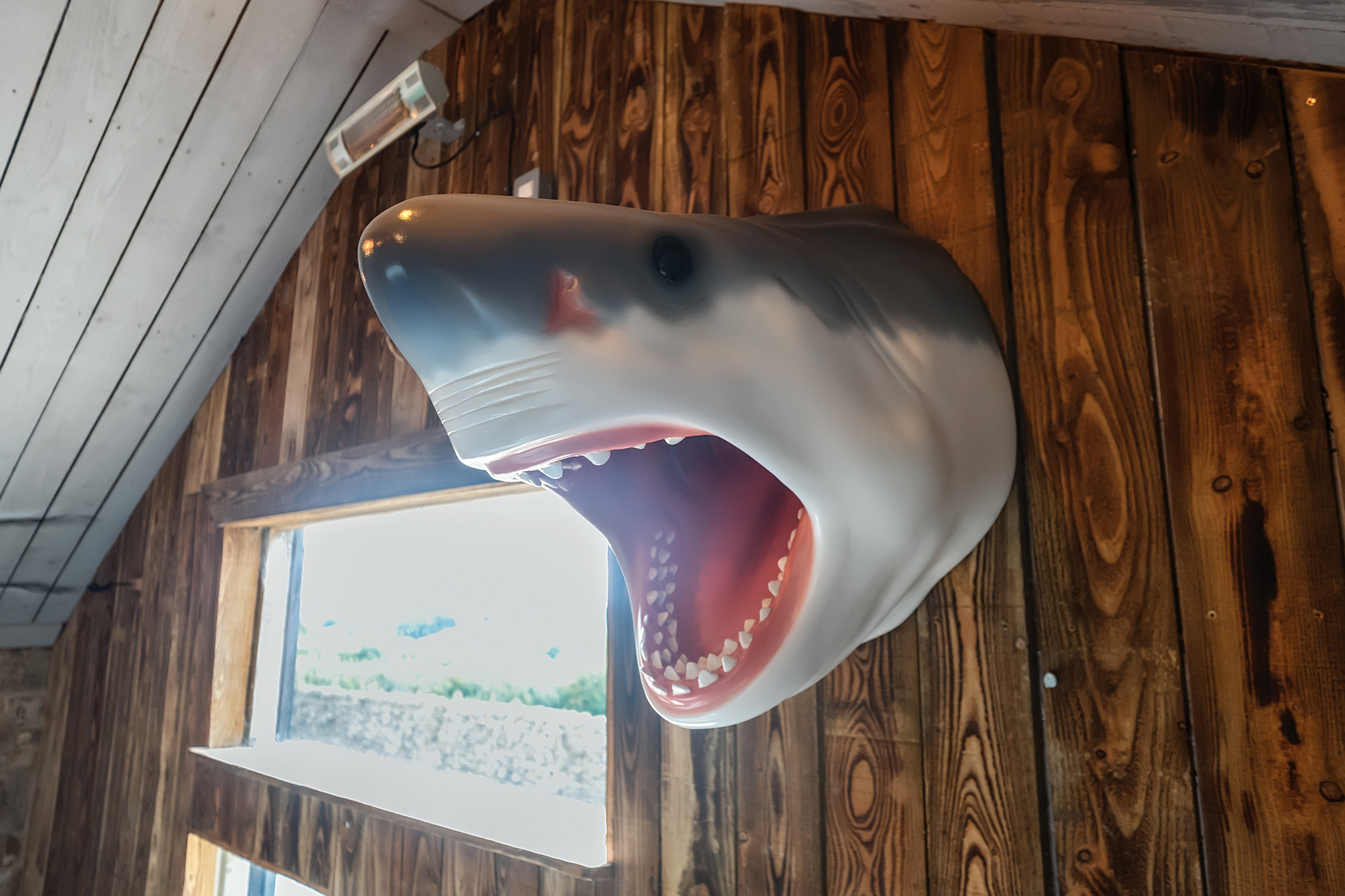 Property image 43 for SC1164383