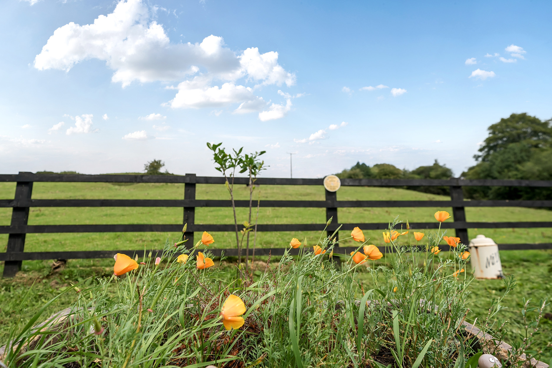 Property image 54 for SC1164383