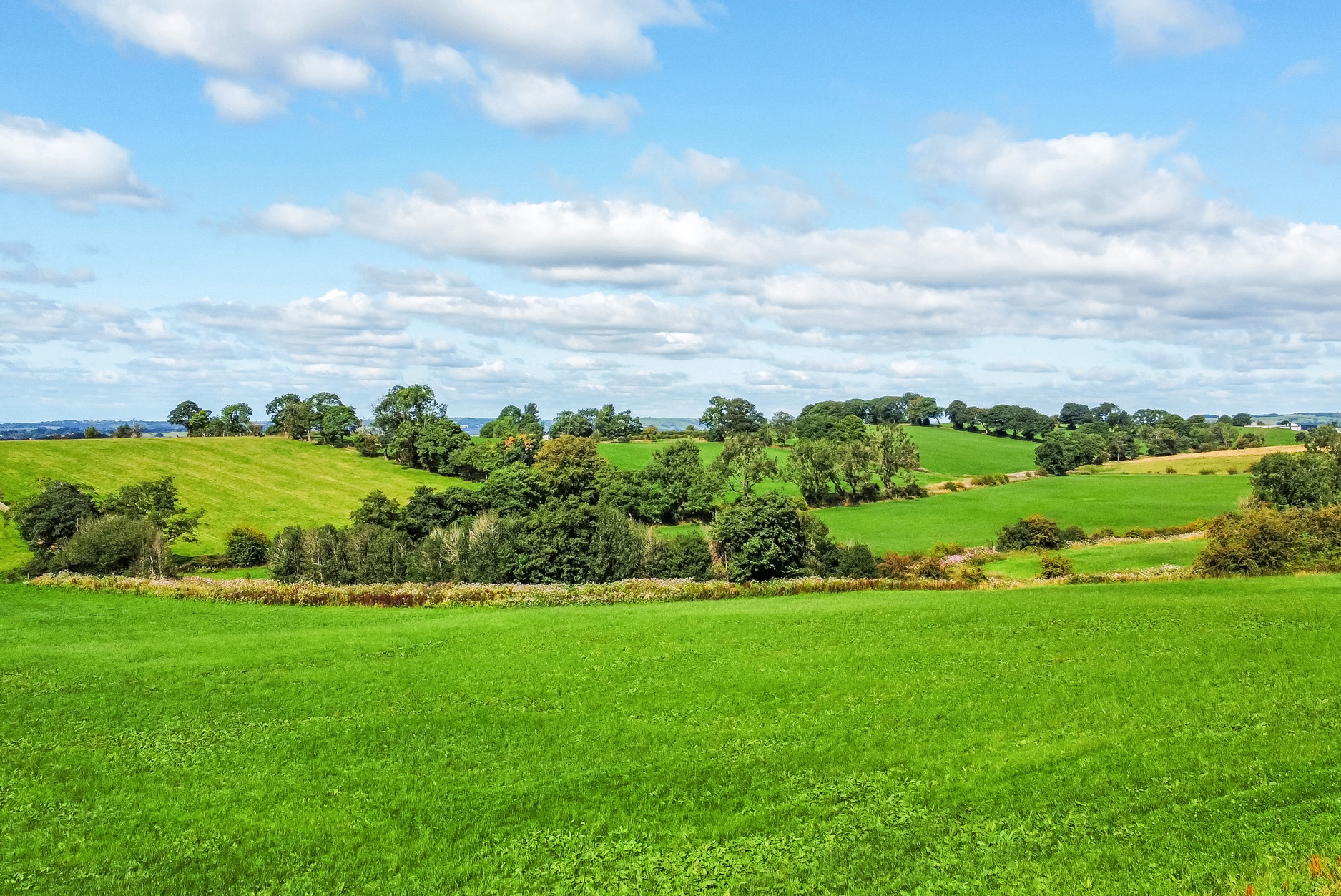 Property image 65 for SC1164383