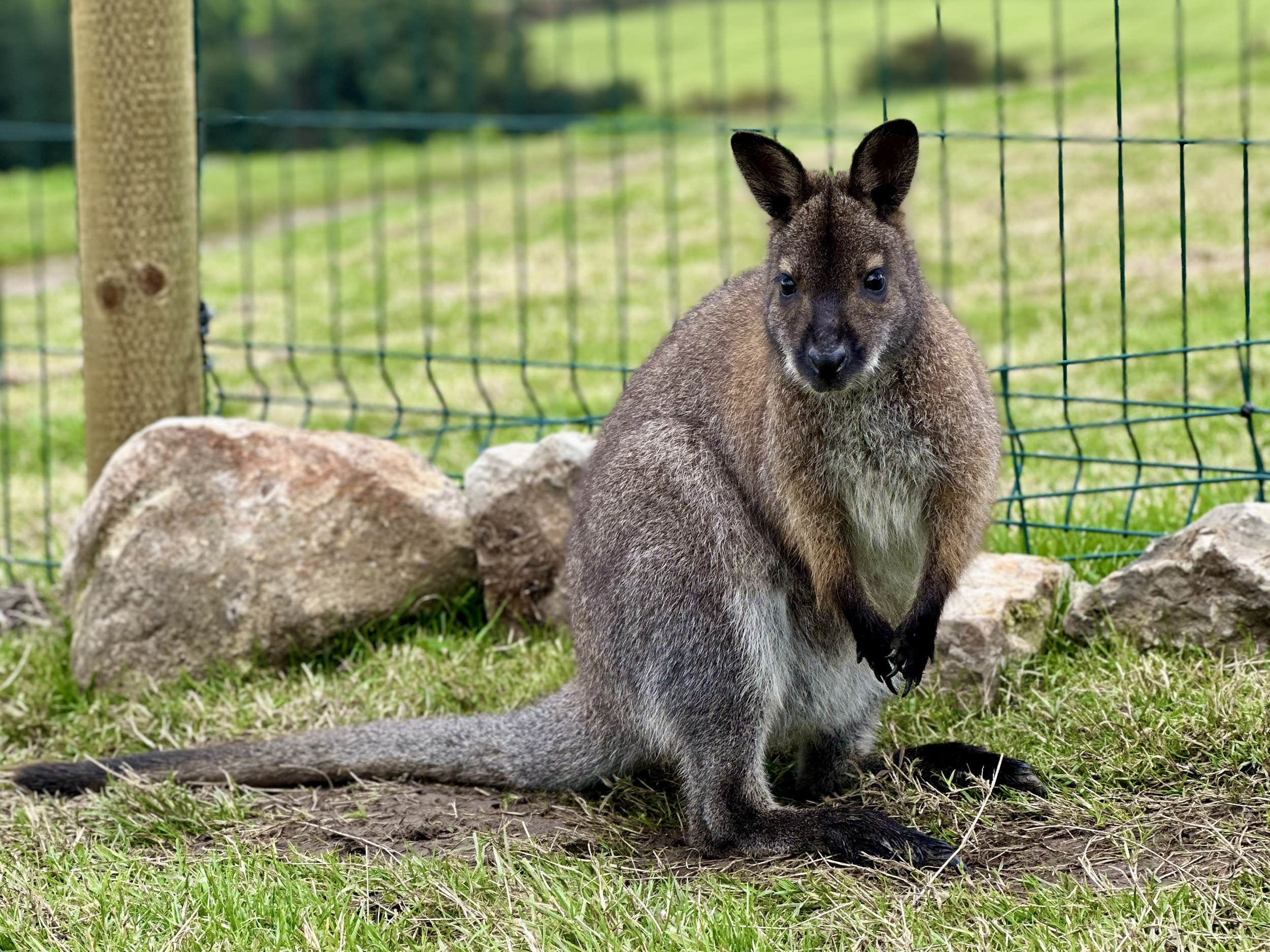 Property image 73 for SC1164383