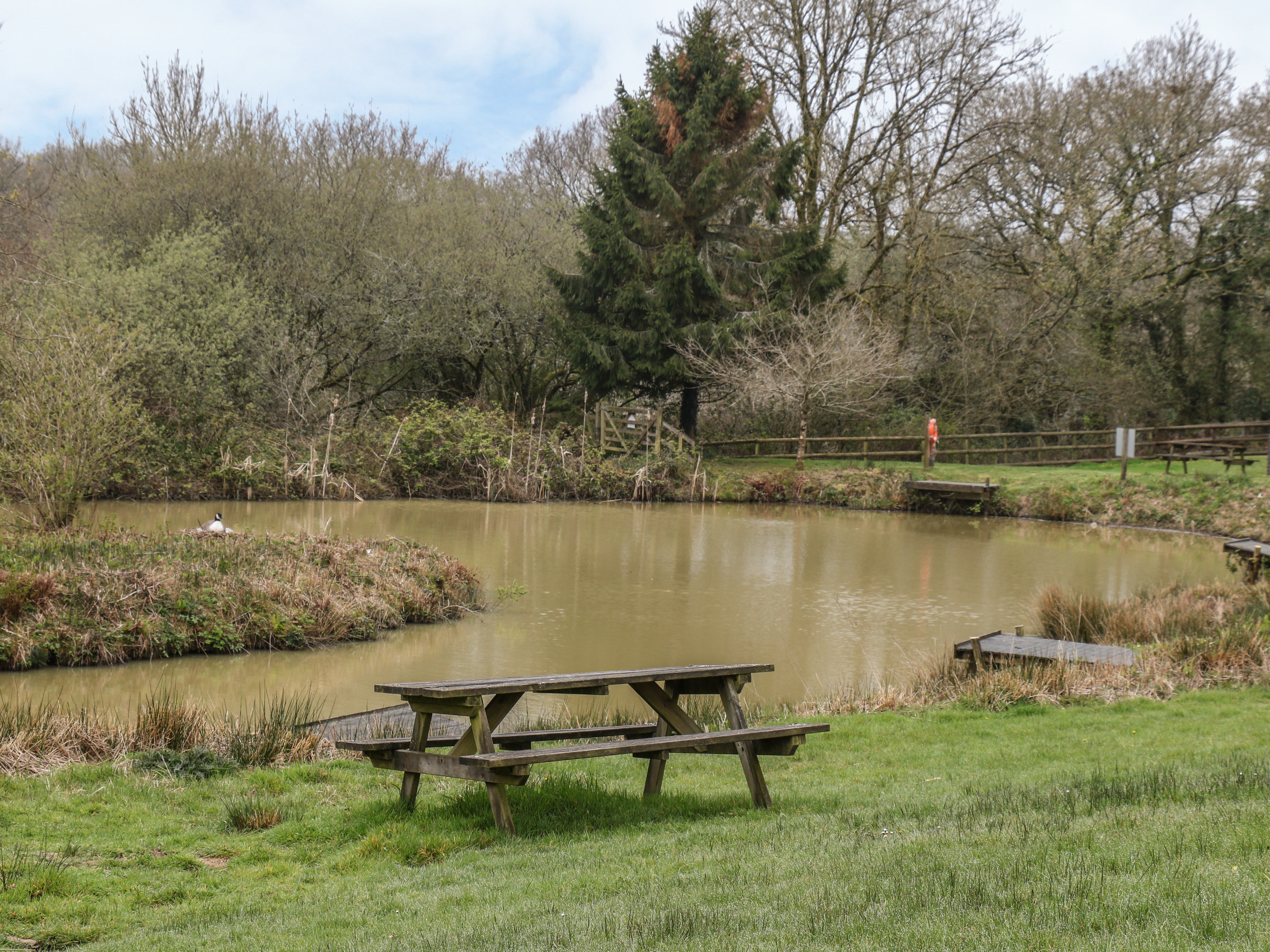 Property image 28 for SC1164387