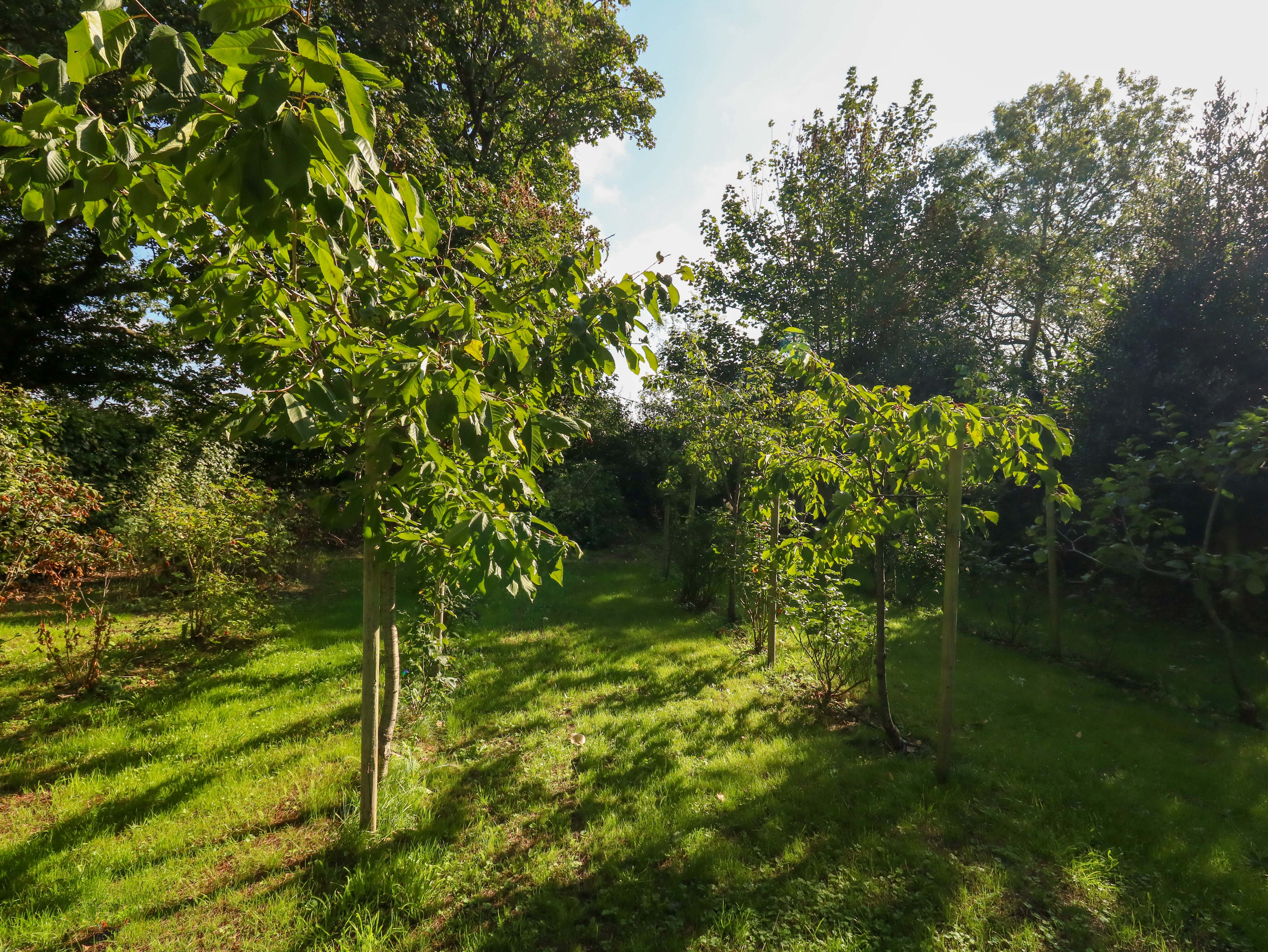 Property image 23 for SC1164457