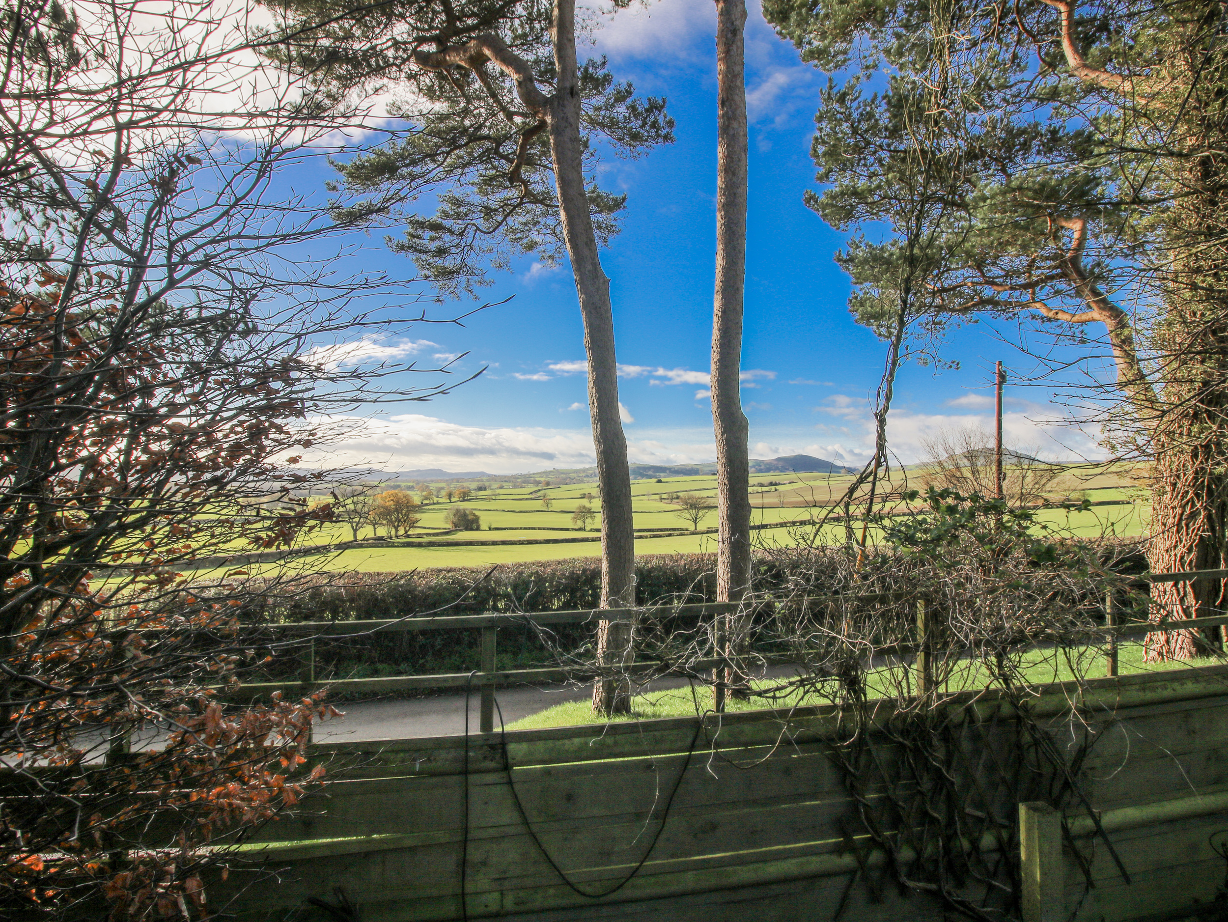 Property image 61 for SC1164747