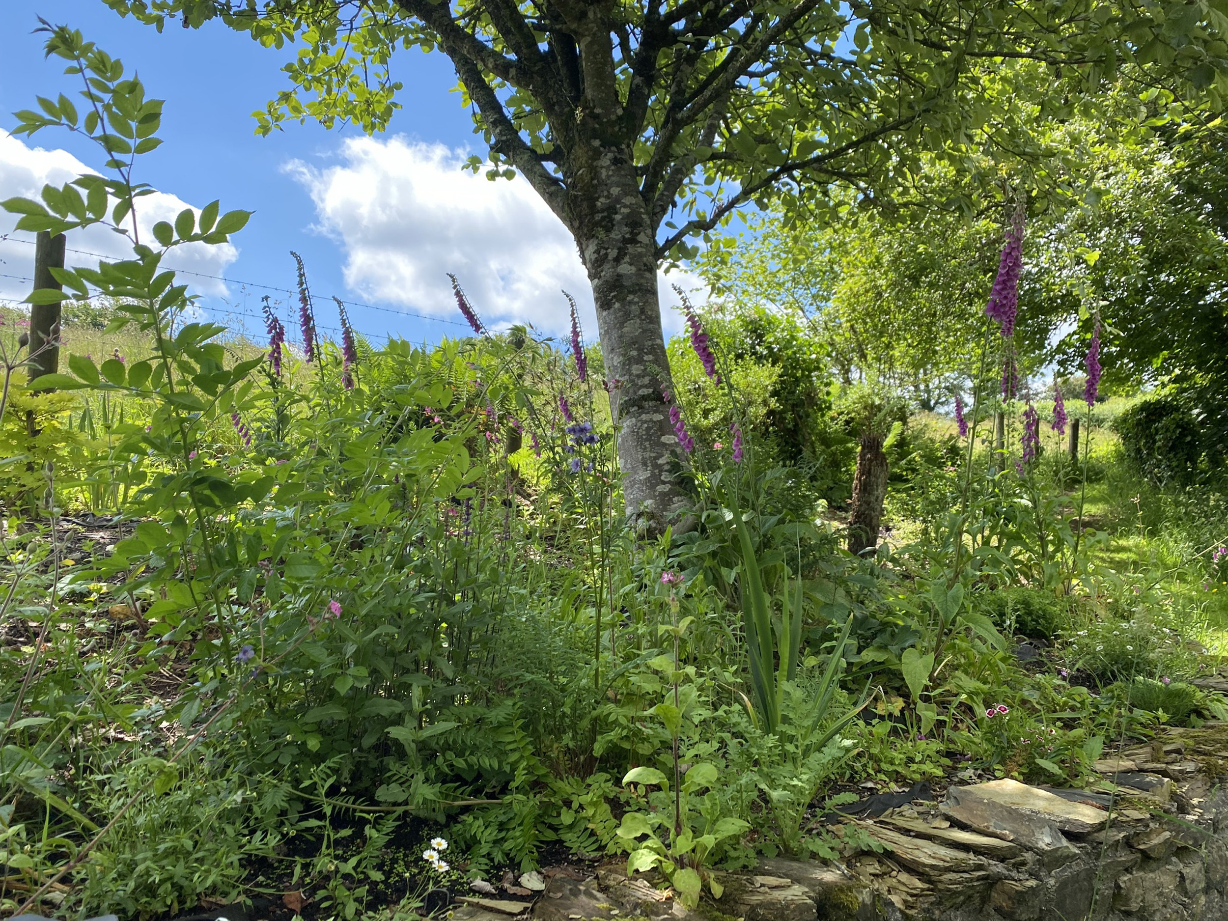 Property image 27 for SC1165130