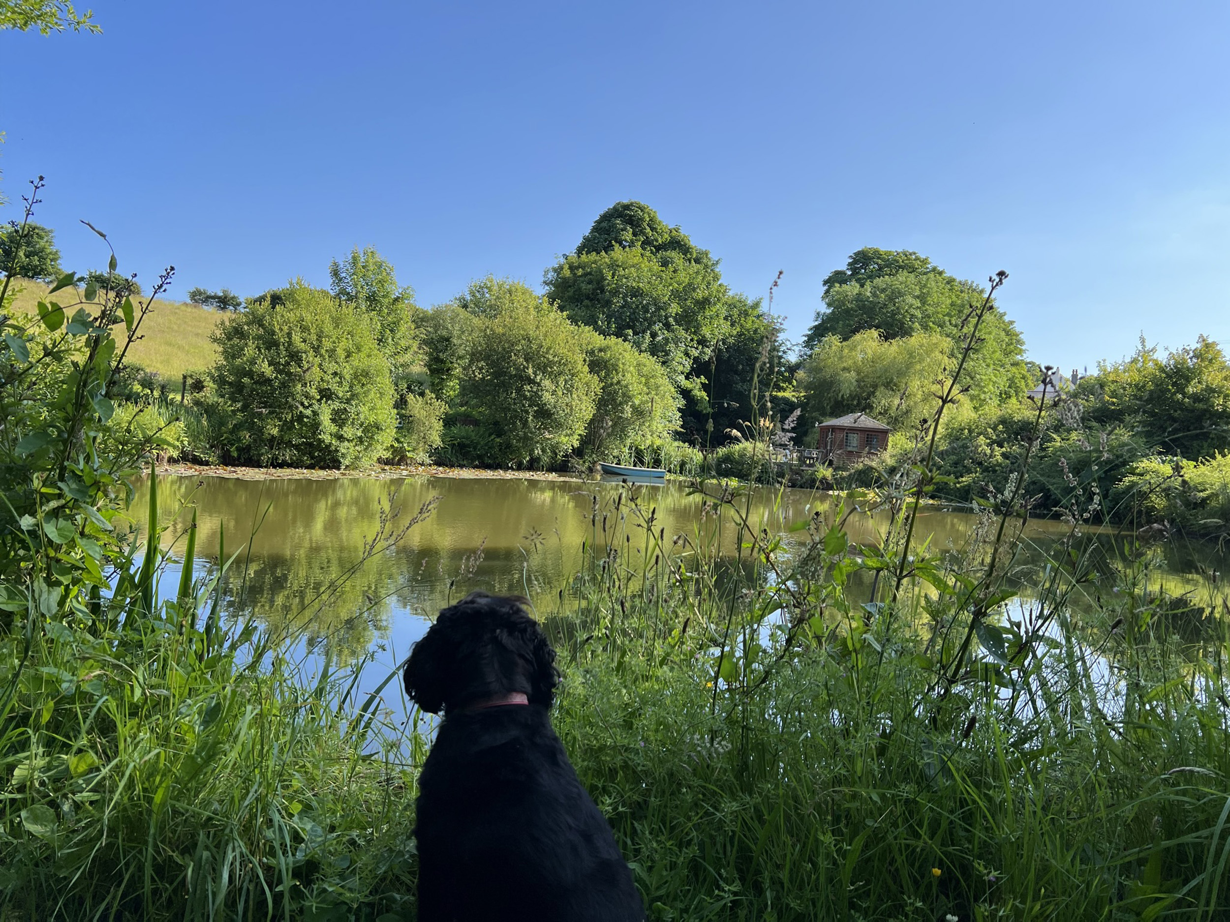 Property image 3 for SC1165131