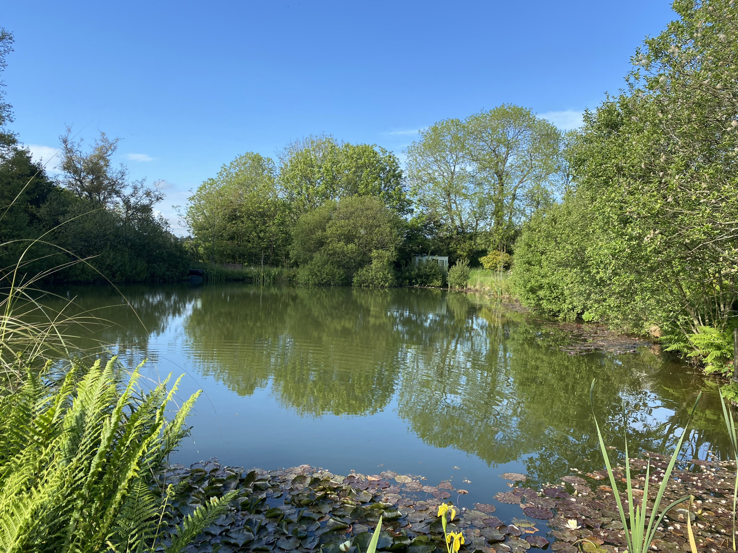 Property image 25 for SC1165131