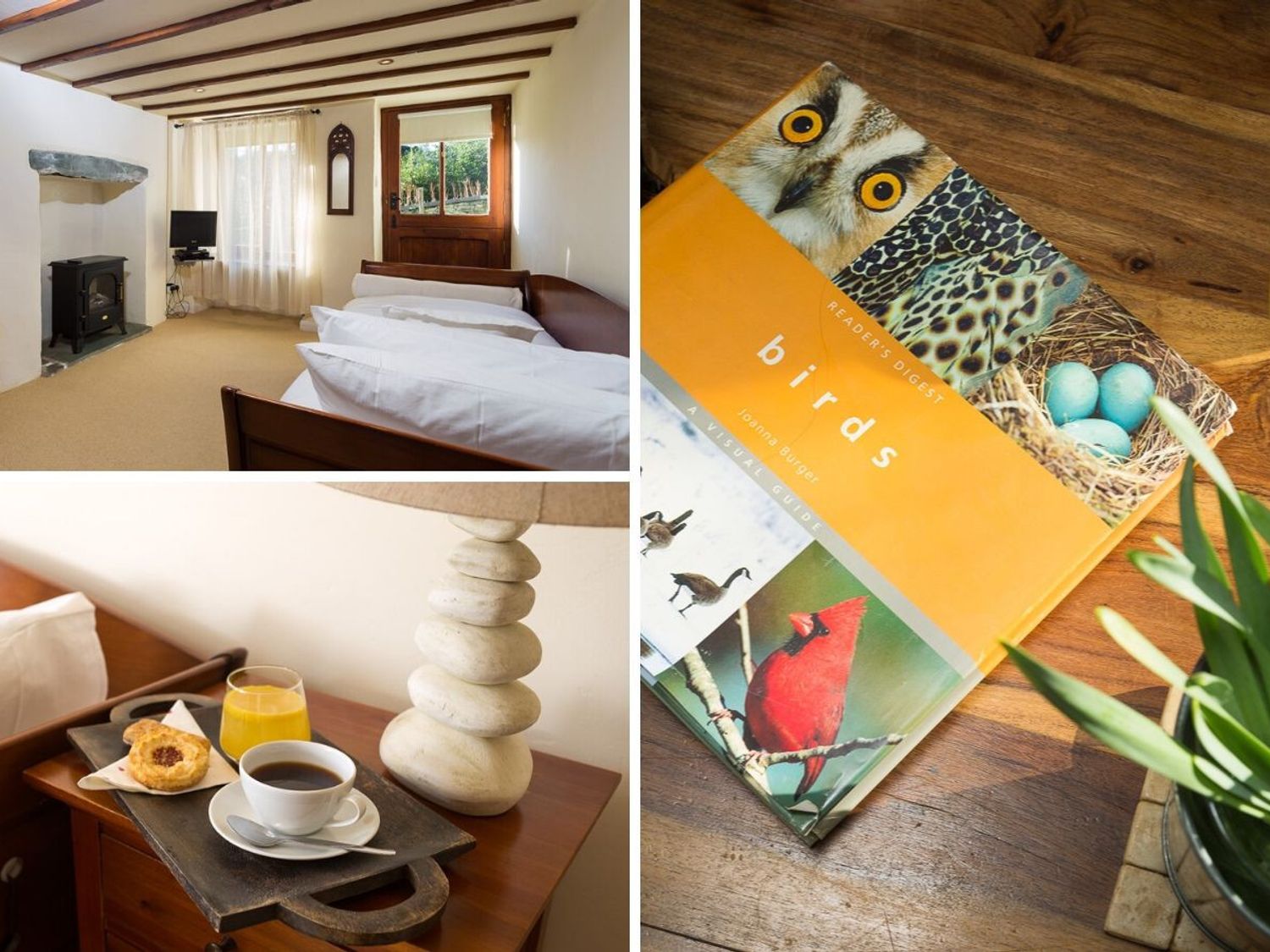 Property image 12 for SC1165402