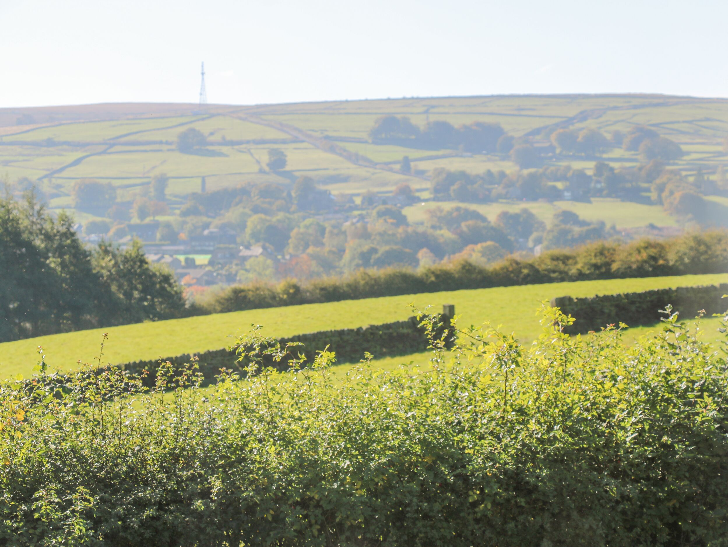 Property image 22 for SC1165466