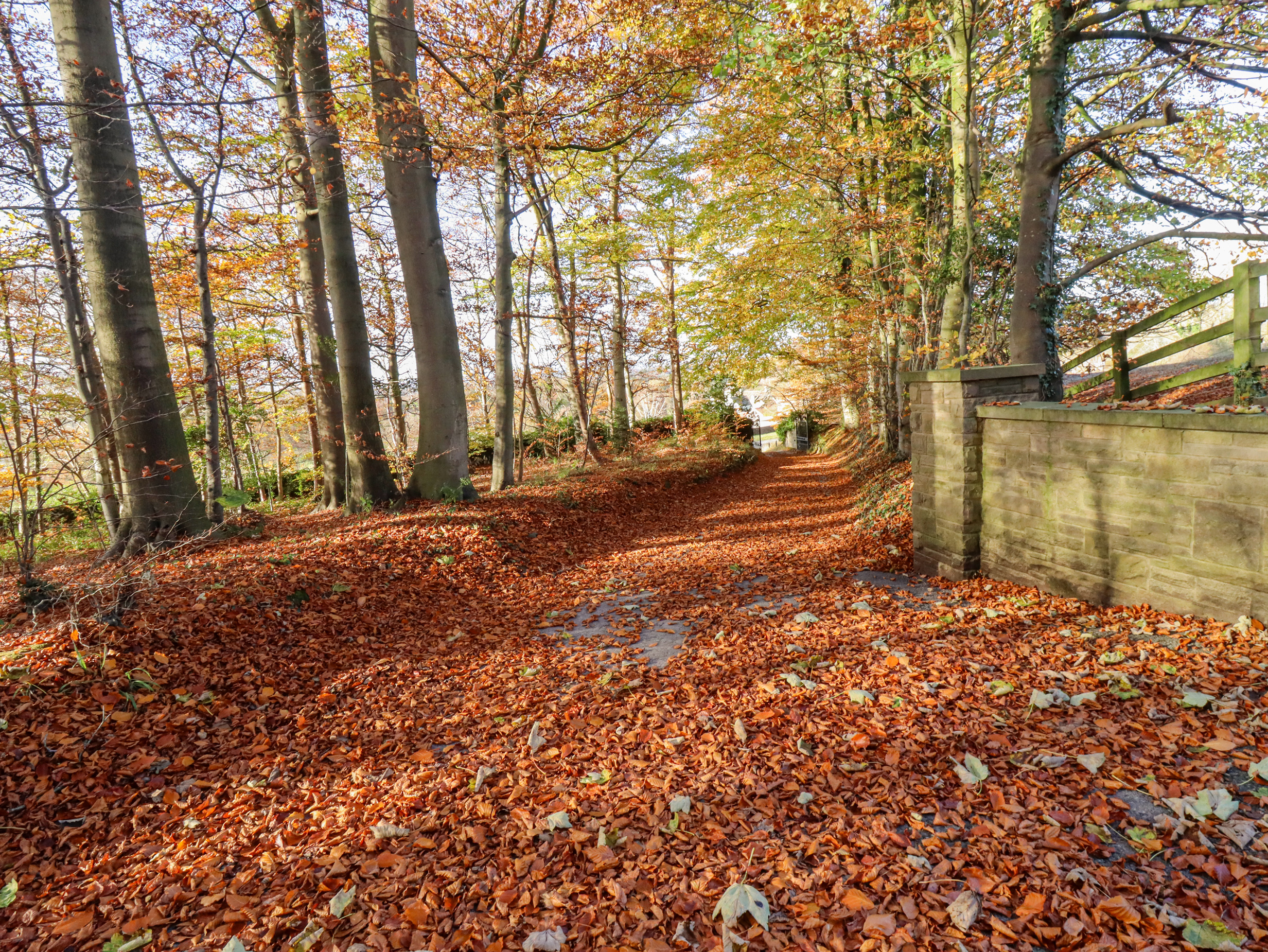 Property image 42 for SC1165489