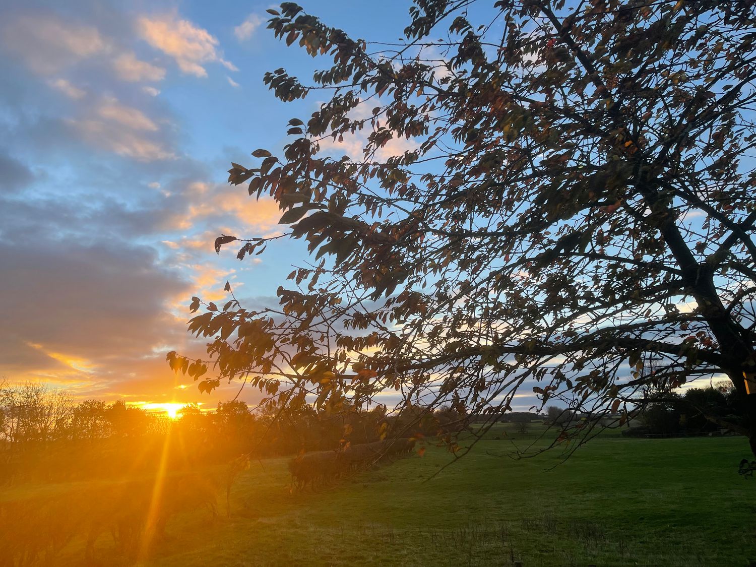 Property image 16 for SC1165573