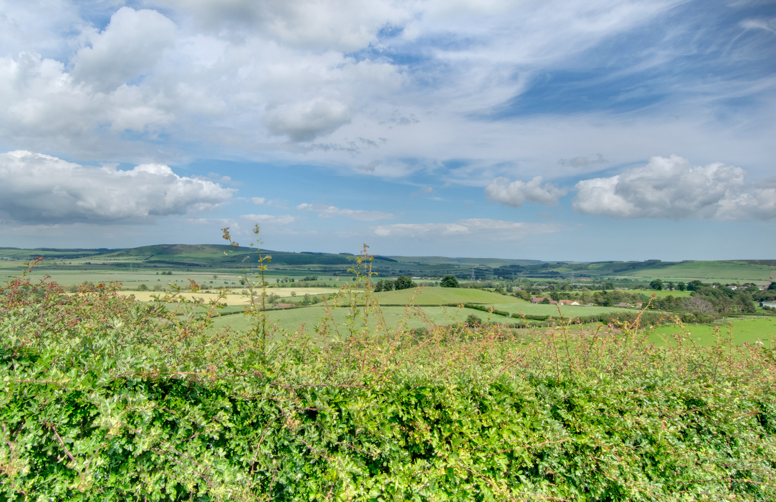 Property image 27 for SC1165584