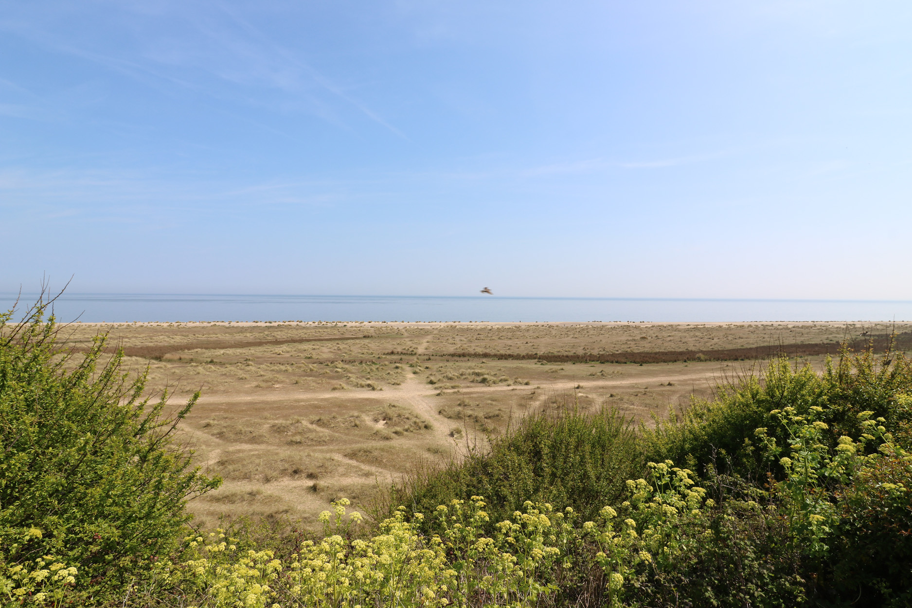 Property image 28 for SC1165813