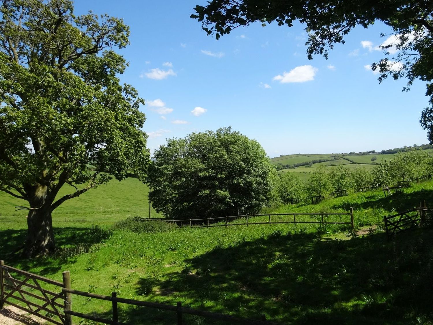 Property image 17 for SC1166125