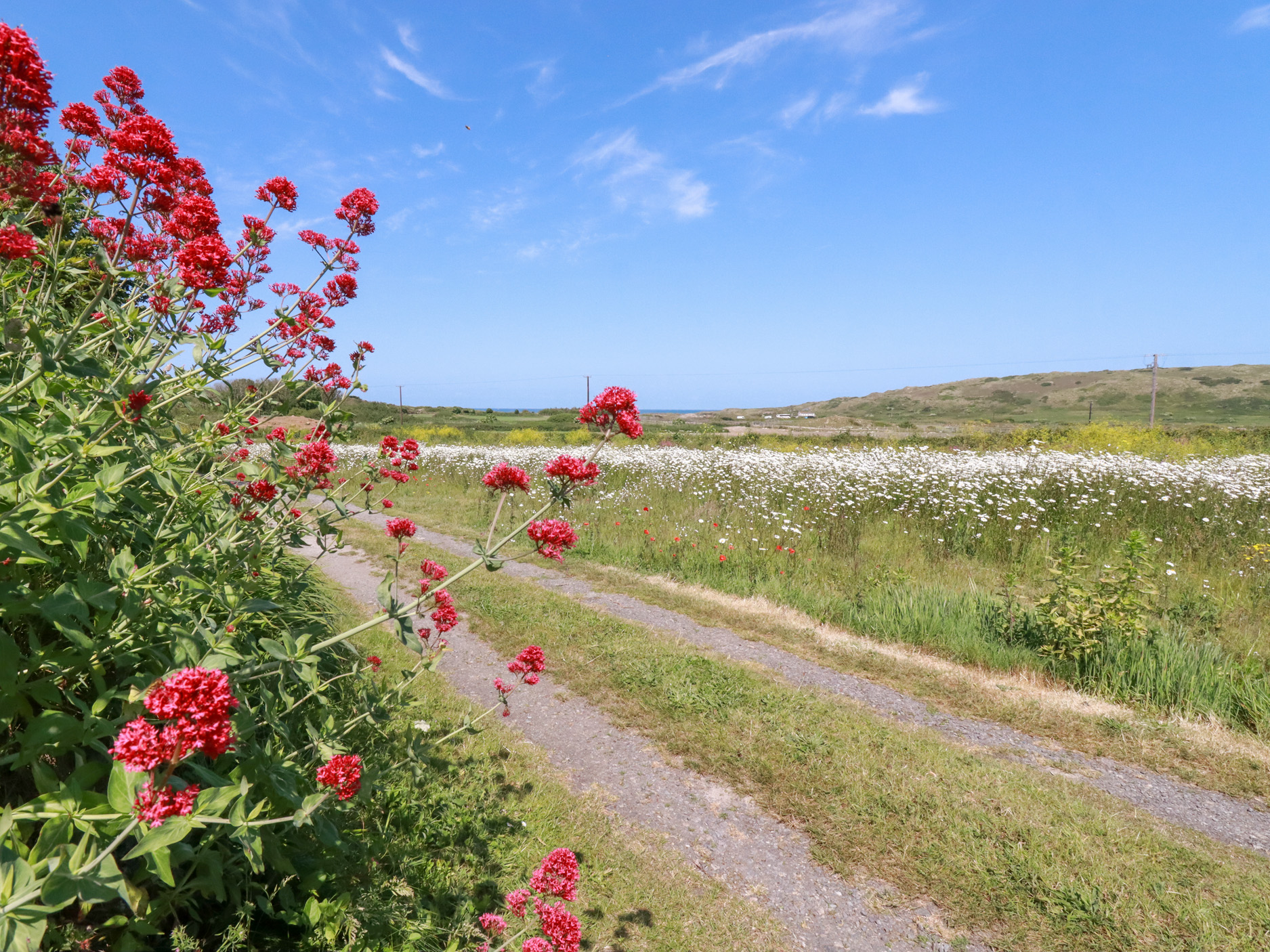 Property image 29 for SC1166286