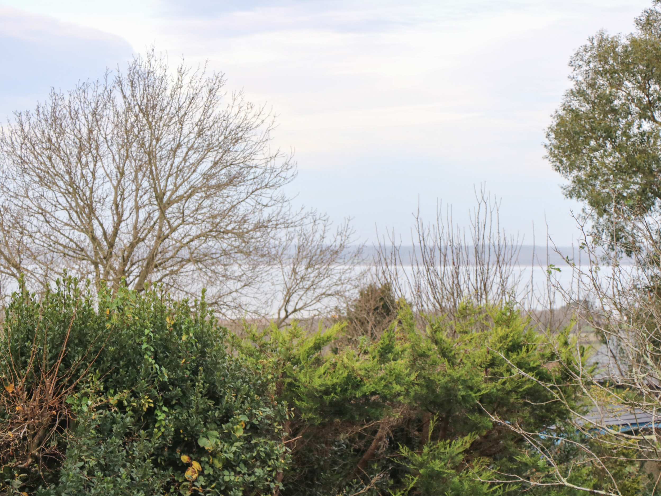 Property image 30 for SC1166331